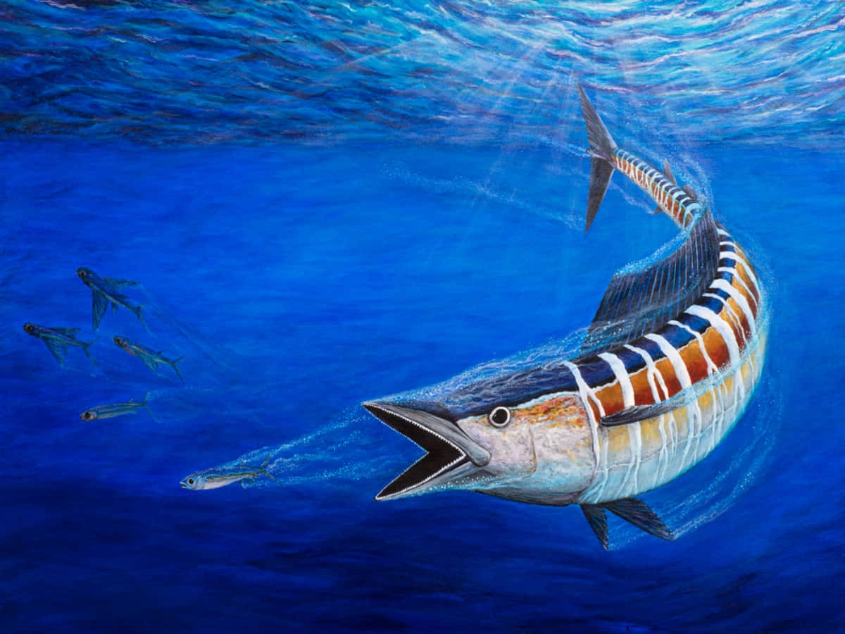 Wahoo Fish Underwater Art Background