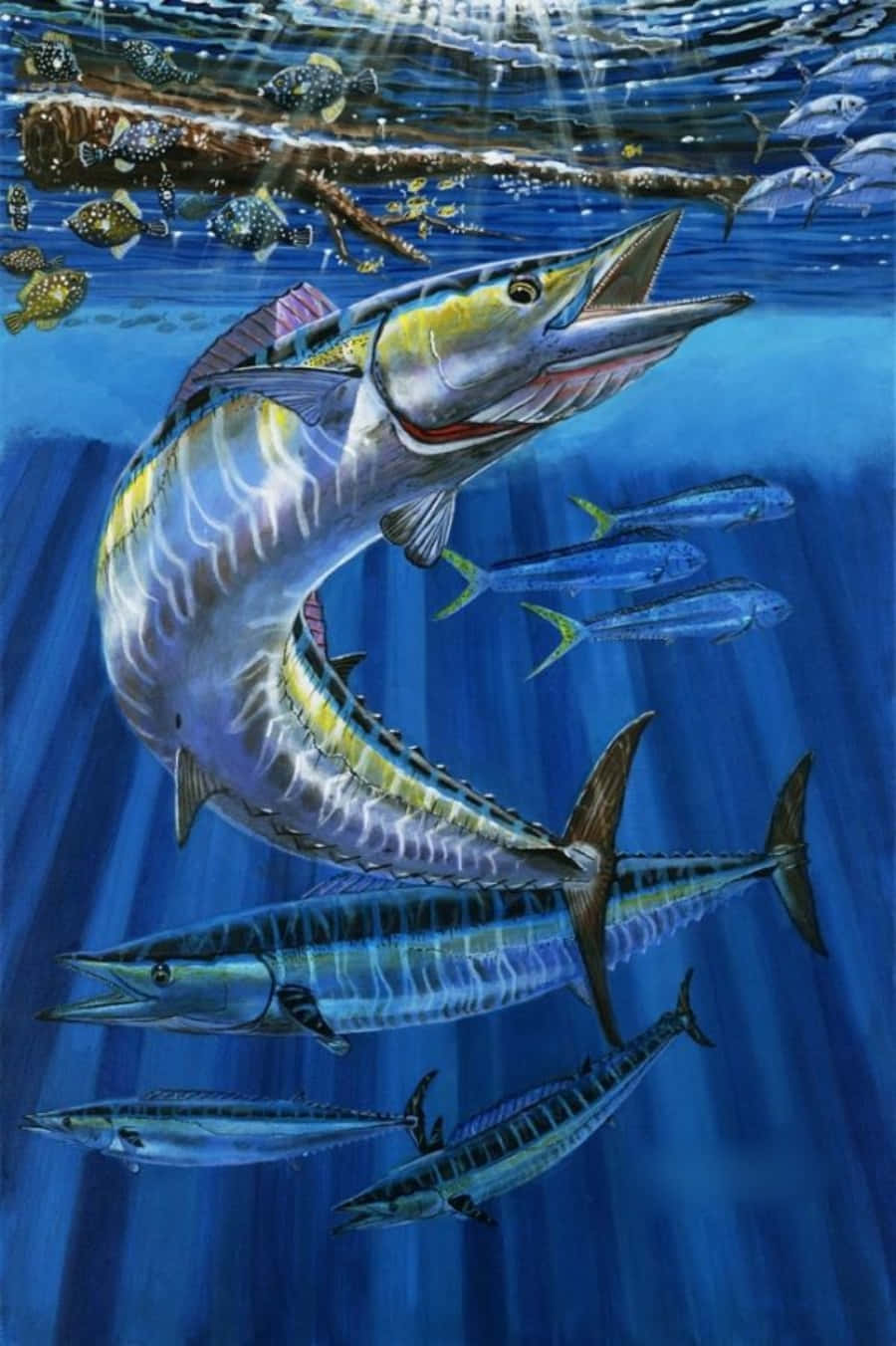 Wahoo Fish Underwater Illustration