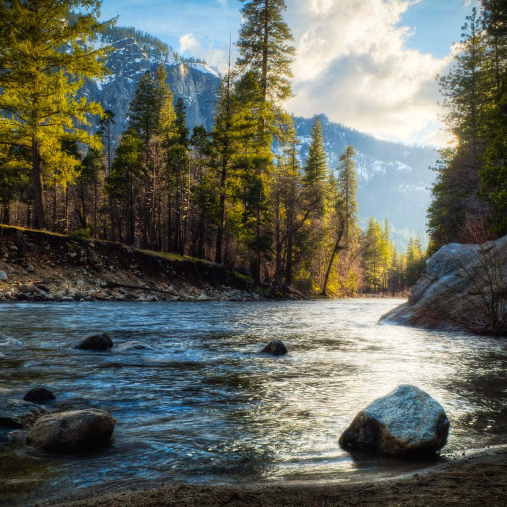 Wake Up To Life's Vibrant Colors With A Nature Ipad Background