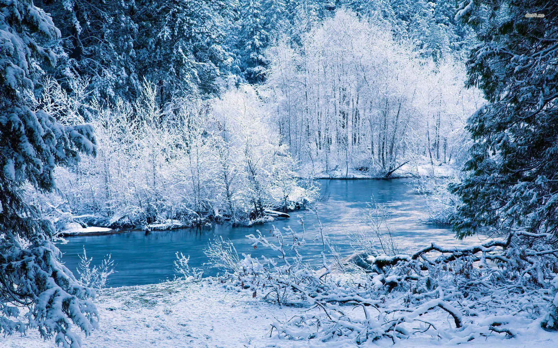 Walk Through A Winter Wonderland Background