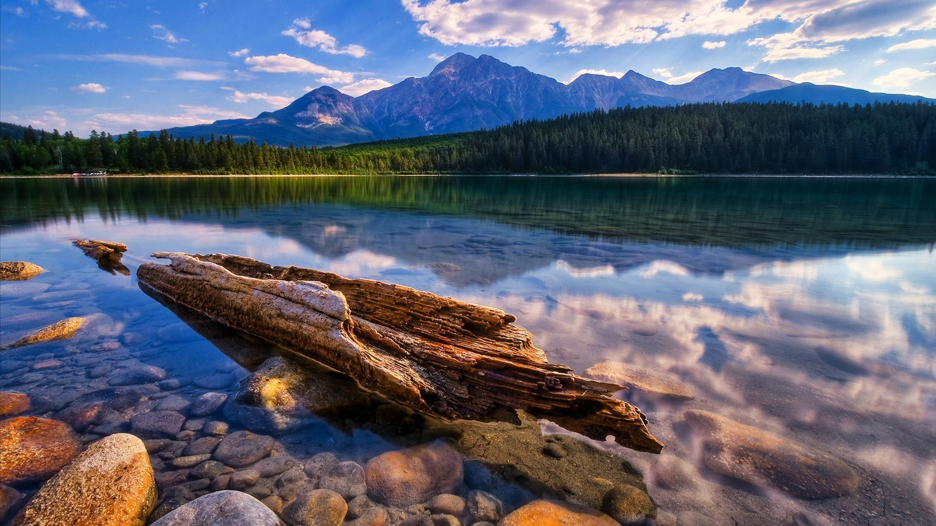 Walk Through The Beauty Of Nature Background