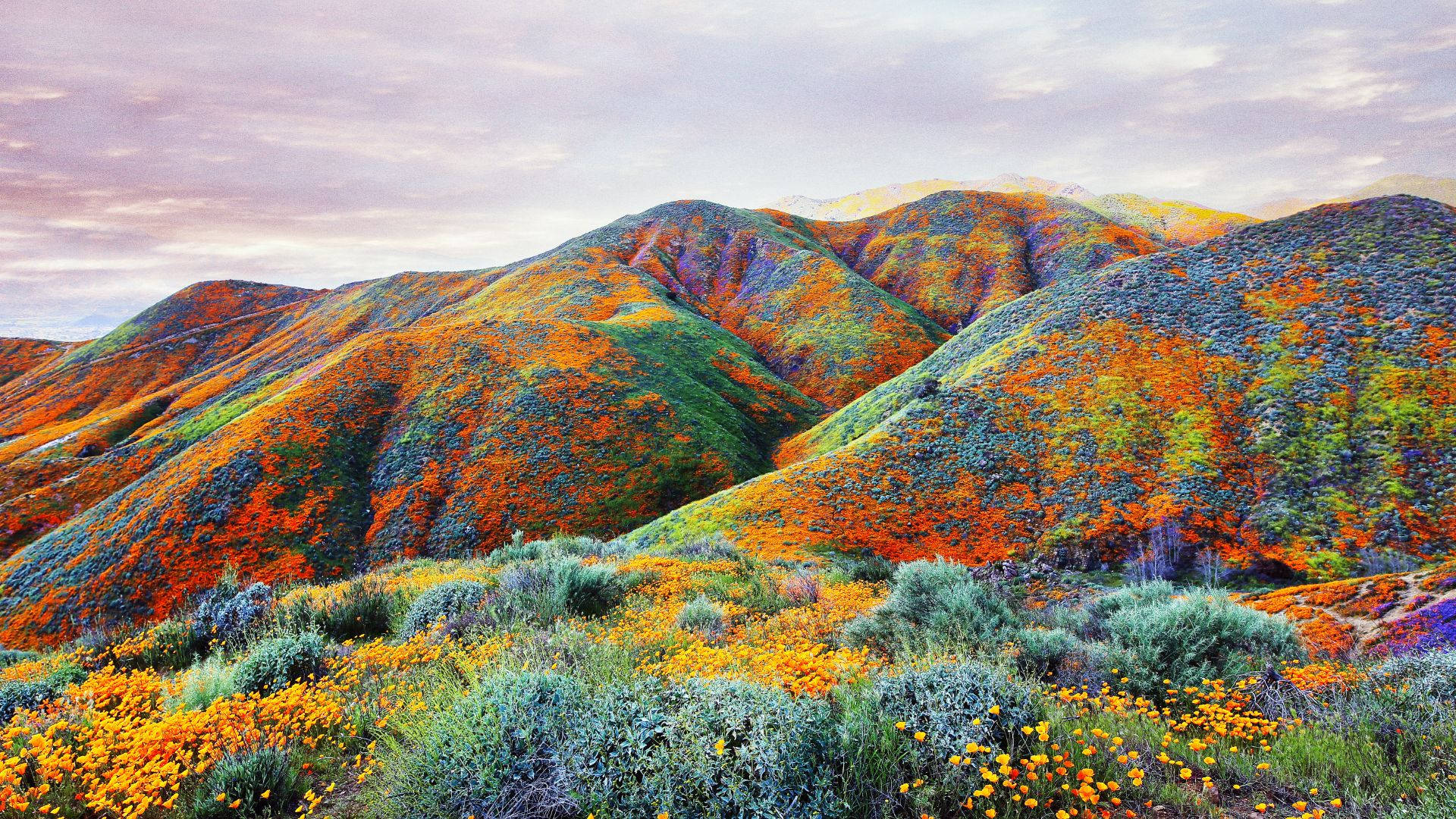 Walker Canyon Colorful Mountain Slope Background