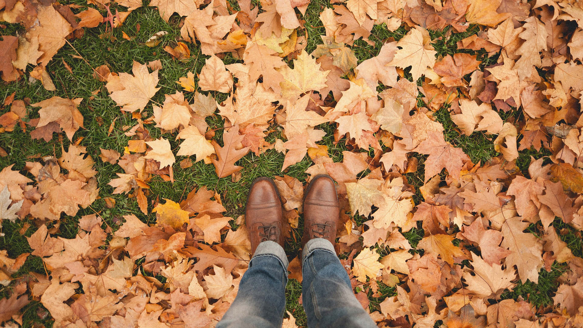 Walking At Tumblr Autumn Desktop