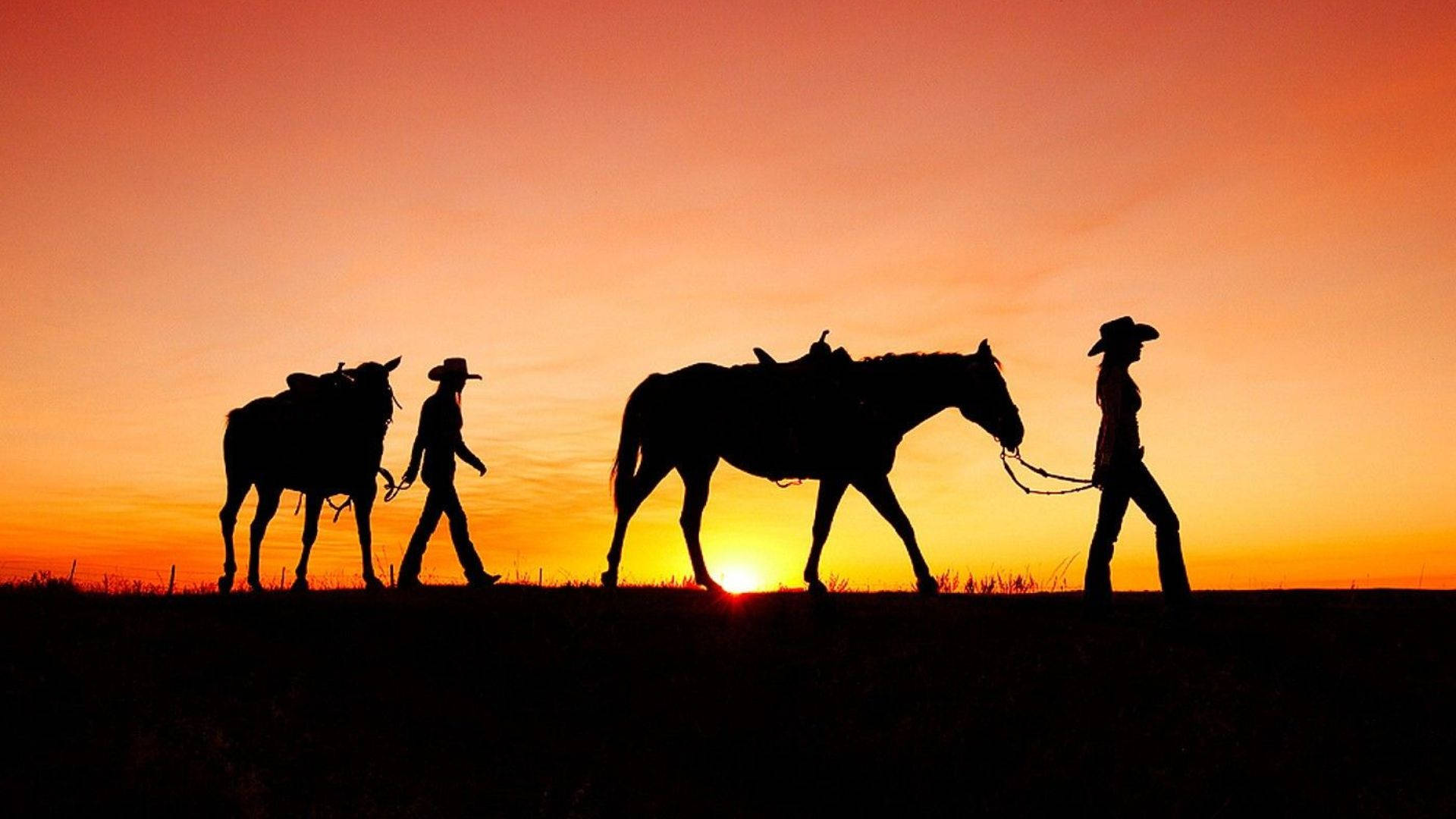 Walking Cowgirl And Horses Background