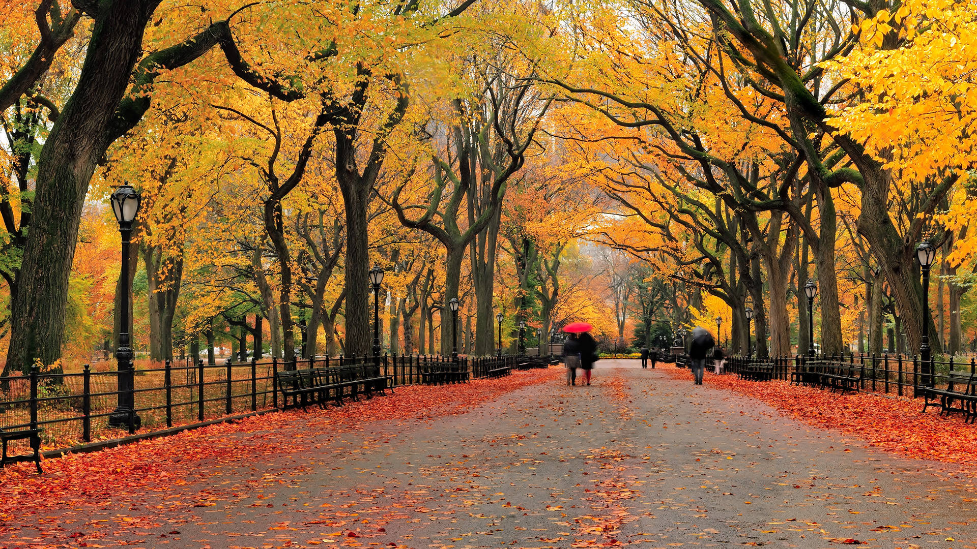 Walking In A Park Background