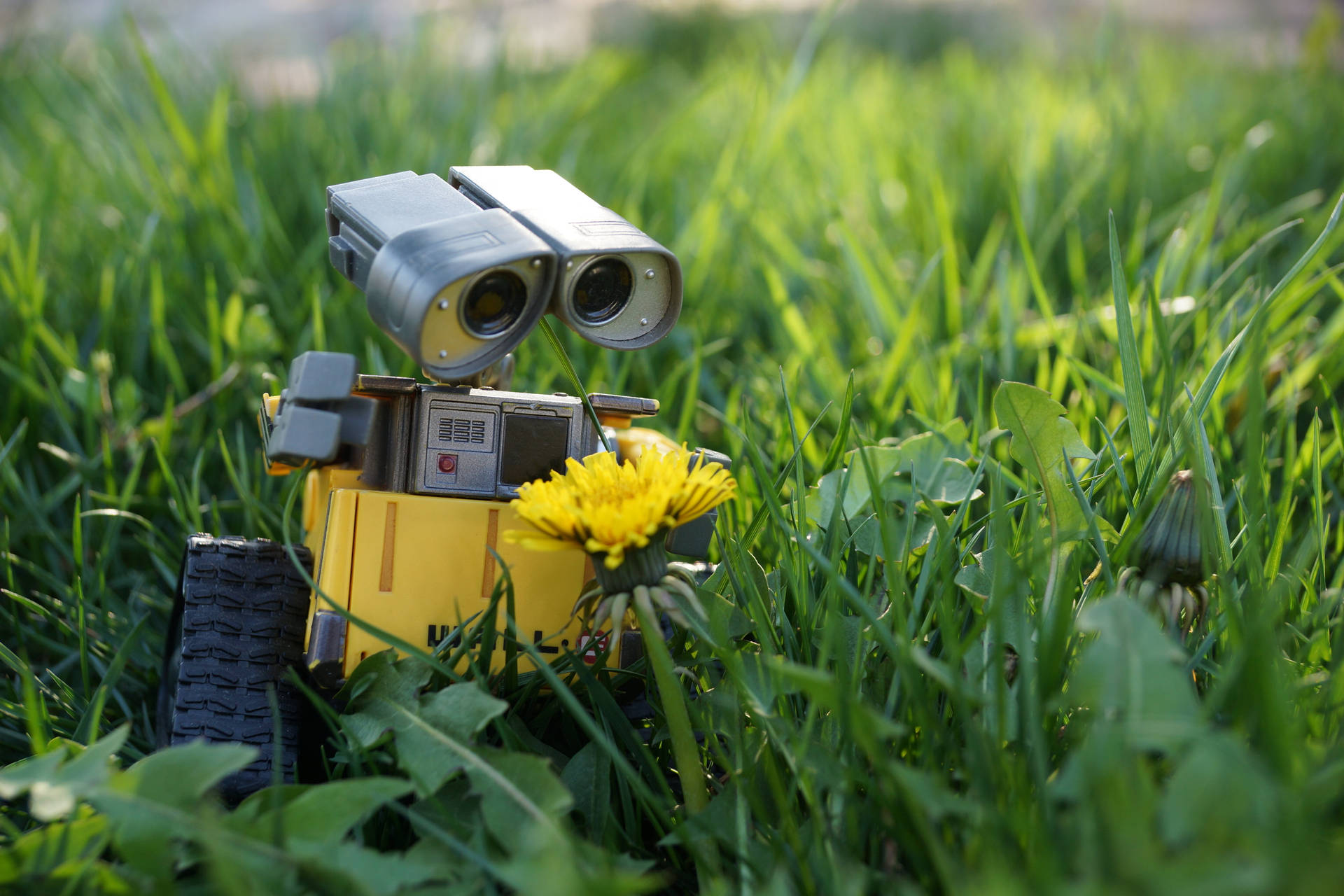 Wall E In The Grass Background