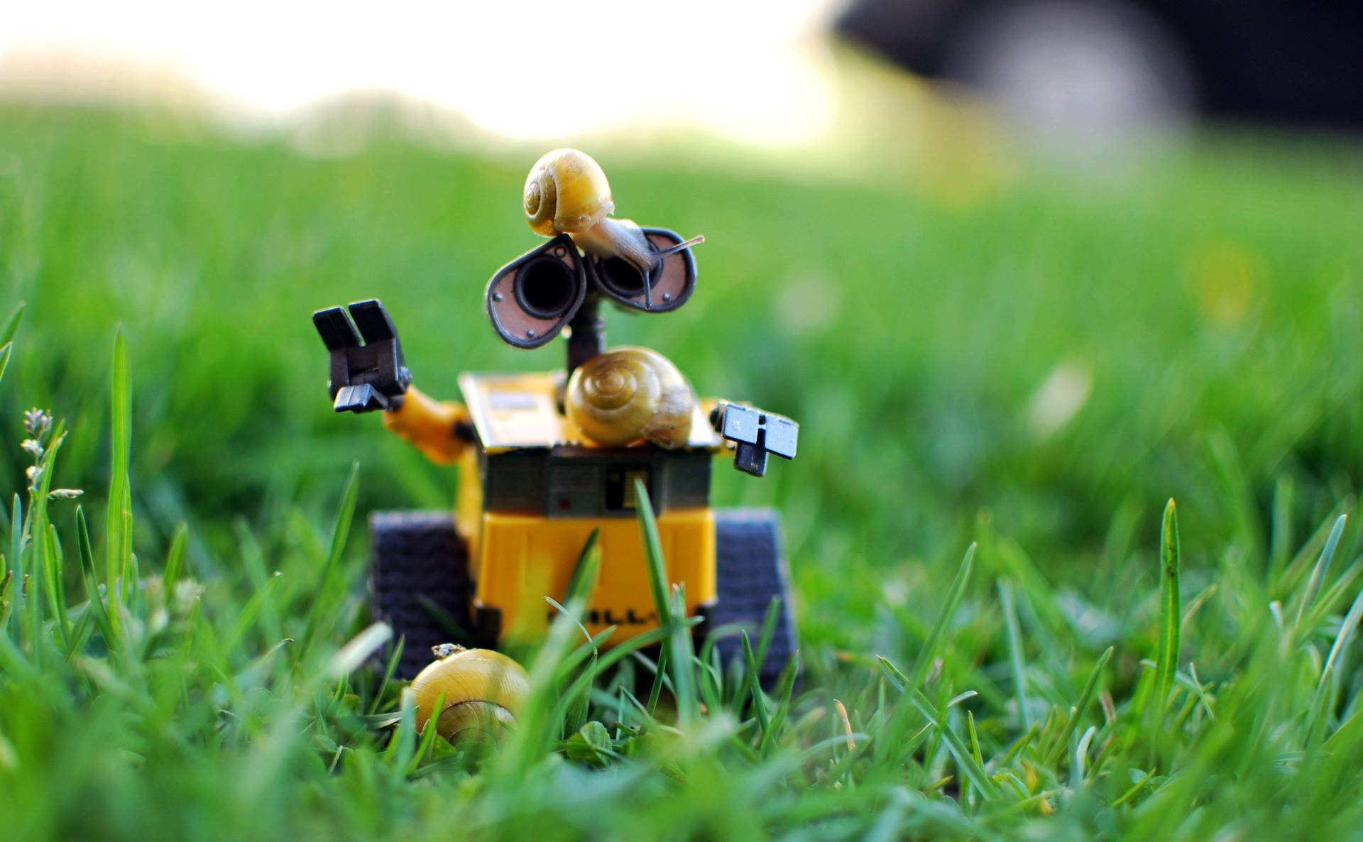 Wall E Toy With Snails Background