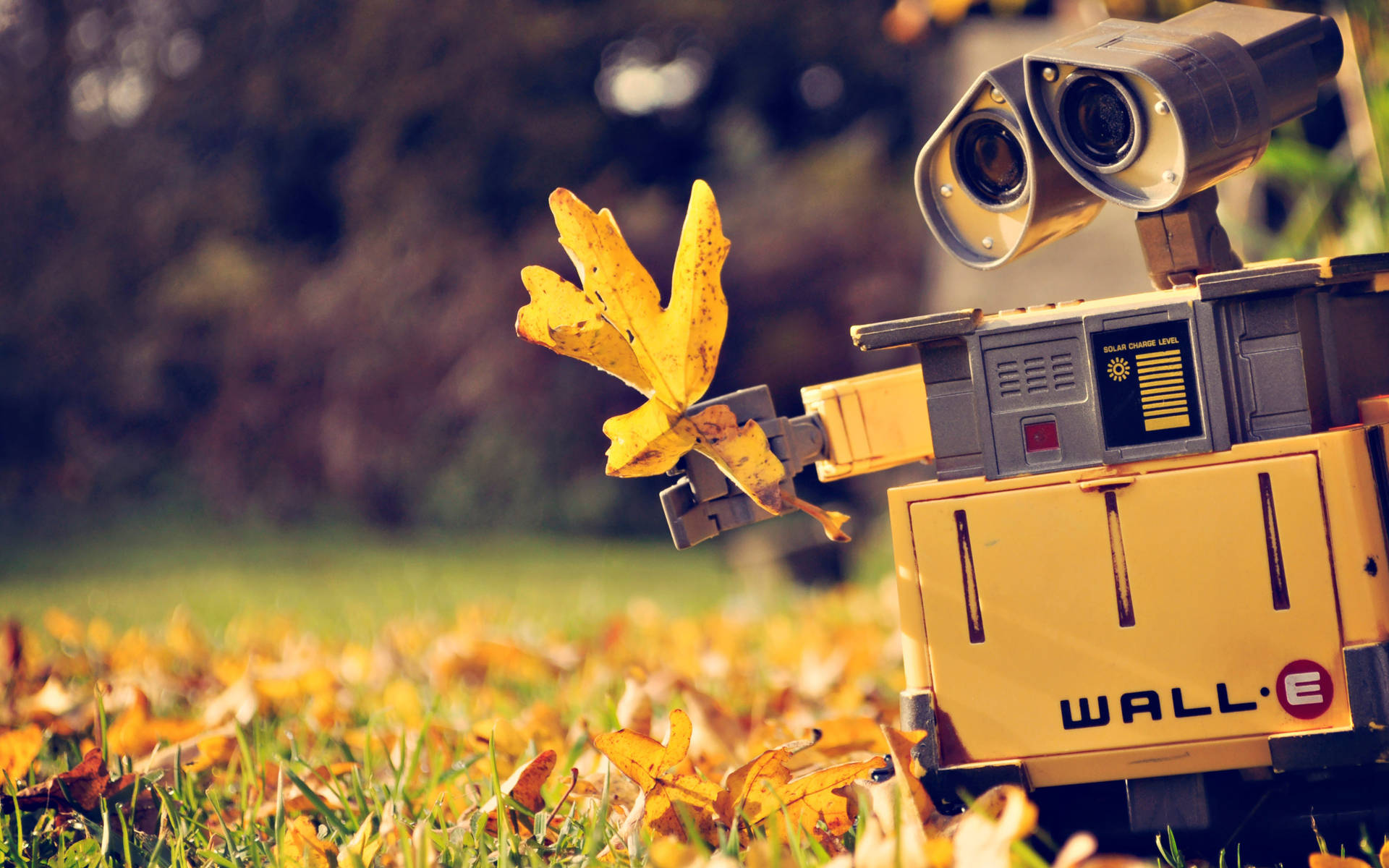 Wall E With Autumn Leaves Background