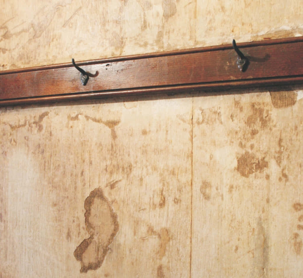 Wall With Copious Water Stains Background