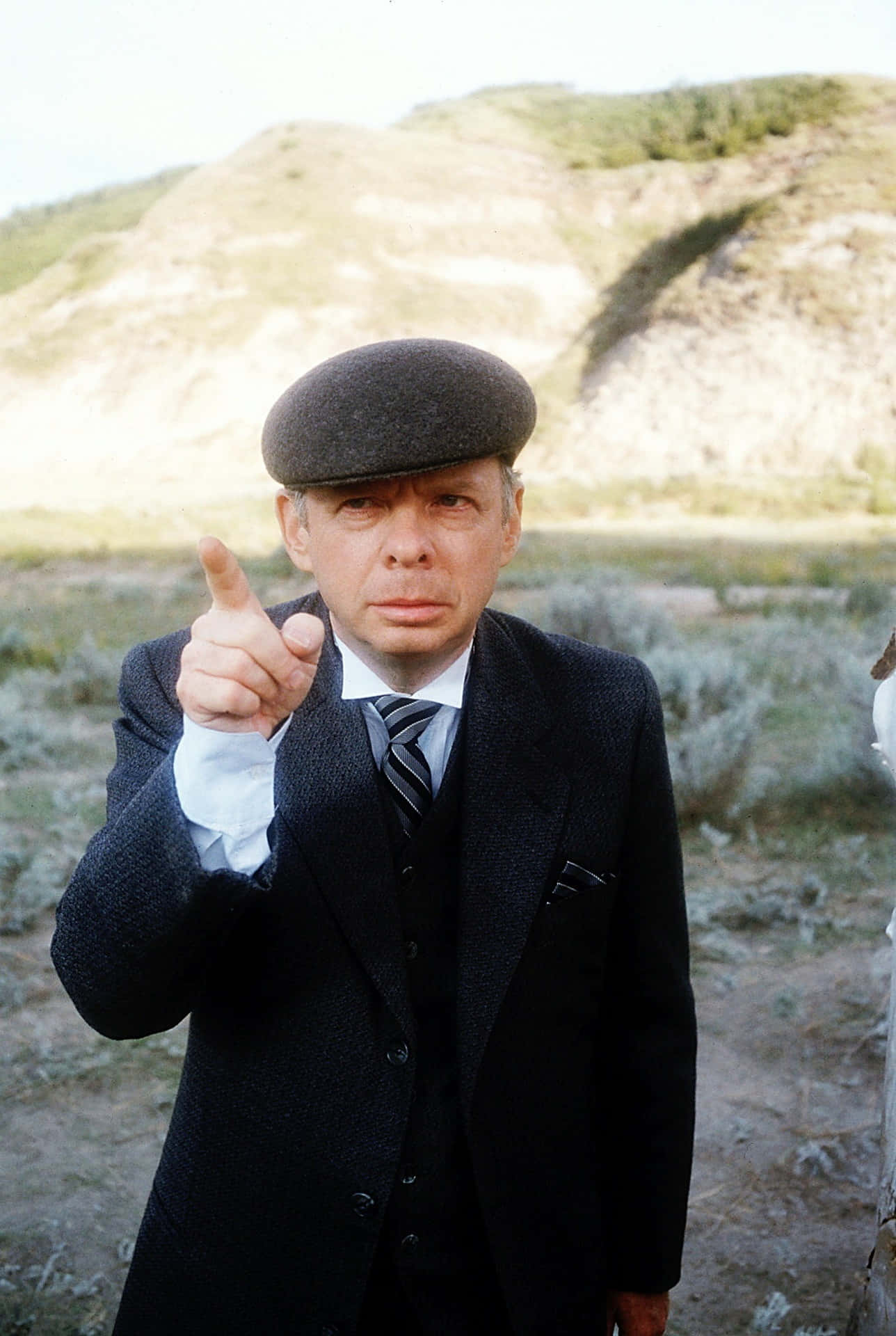 Wallace Shawn Posing For A Portrait Background