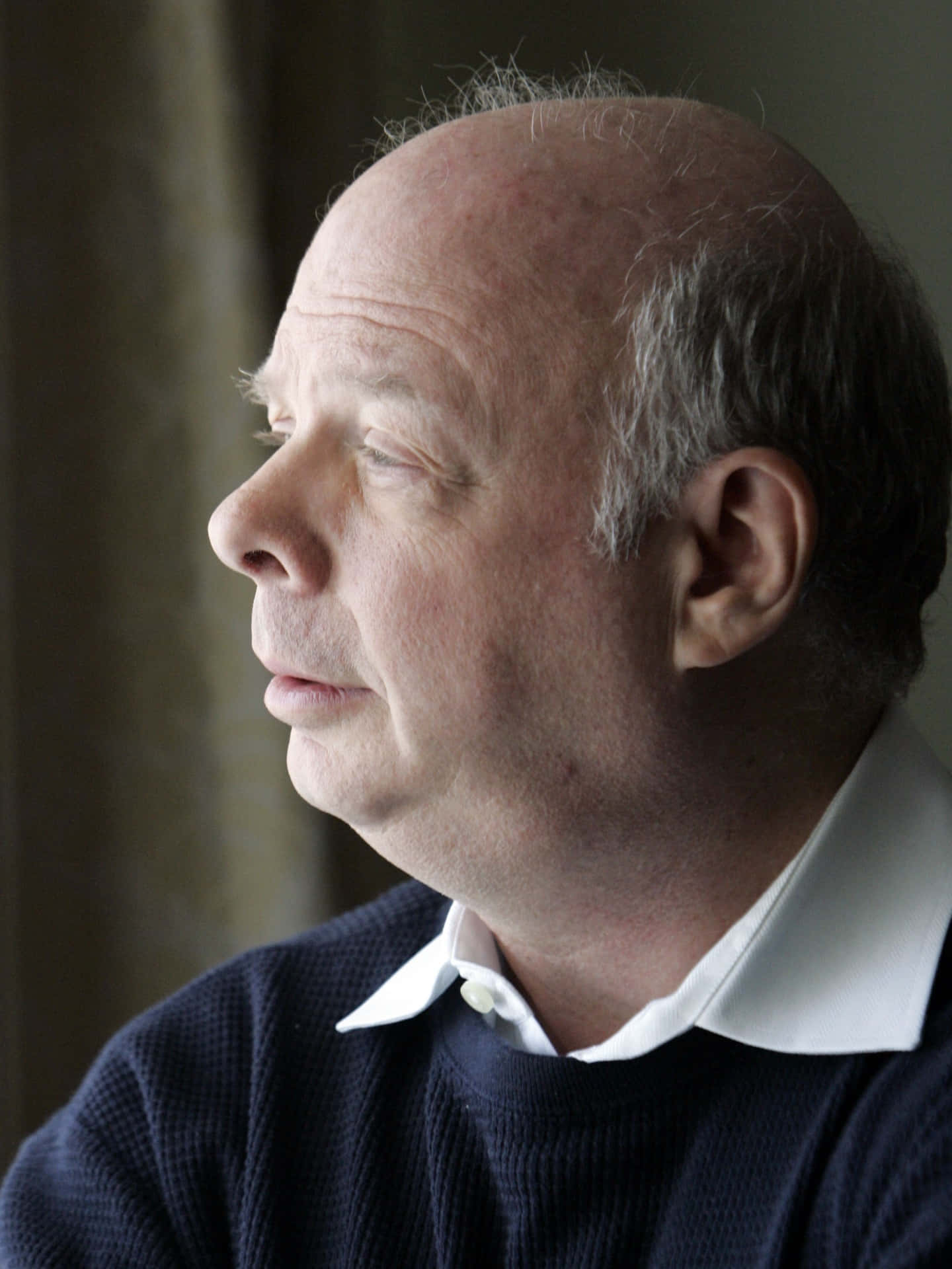 Wallace Shawn Posing For A Portrait. Background