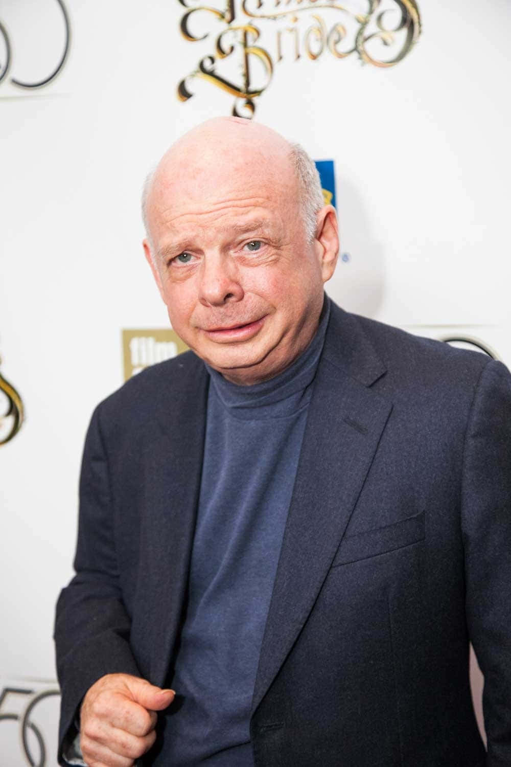 Wallace Shawn Posing For A Portrait Background