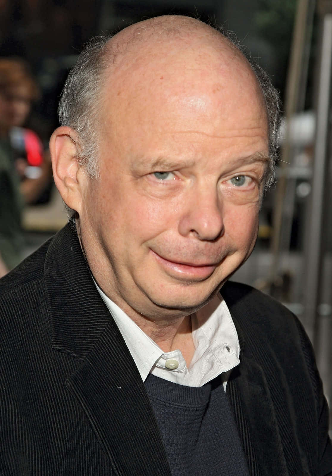Wallace Shawn Posing For A Portrait Background