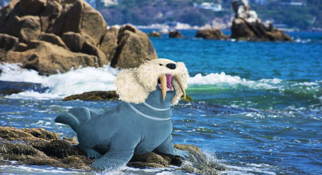 Walrein Along Seashore Background