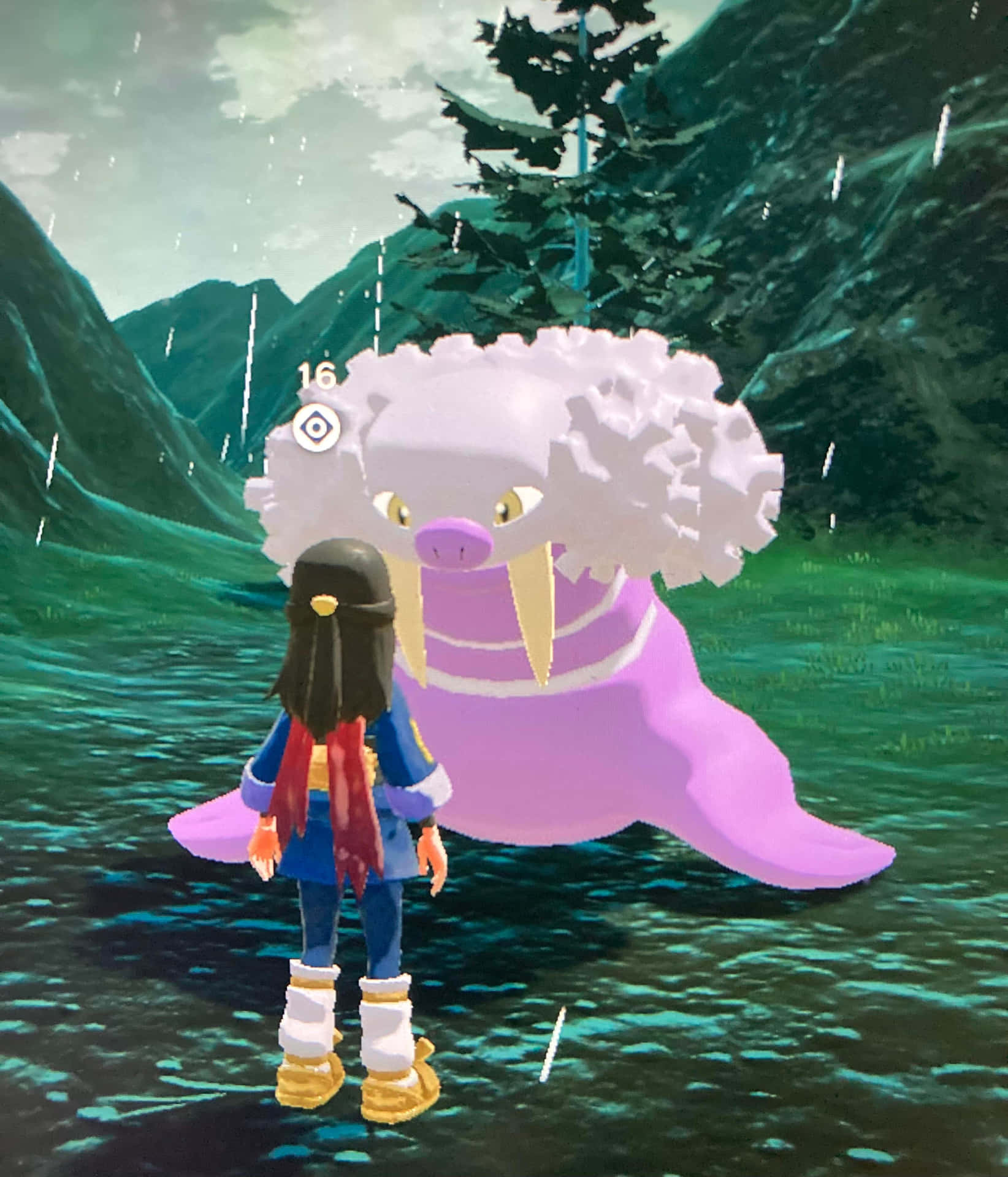 Walrein In The Forest Background