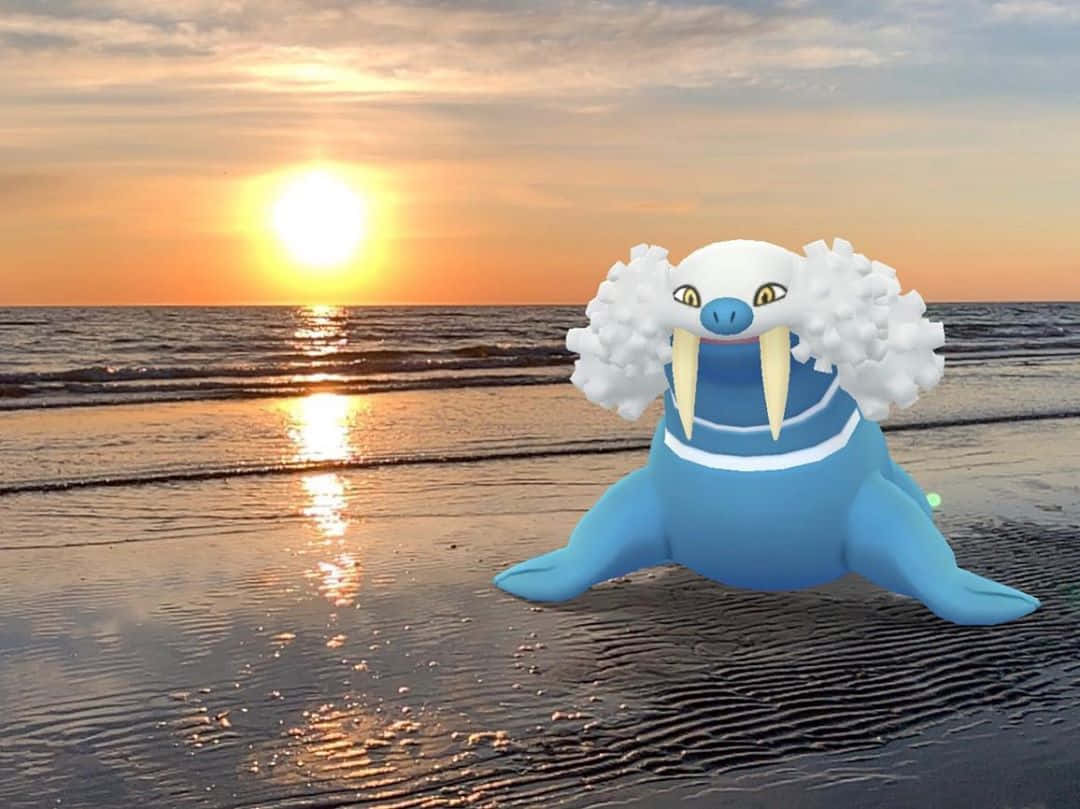 Walrein With Sunset Background
