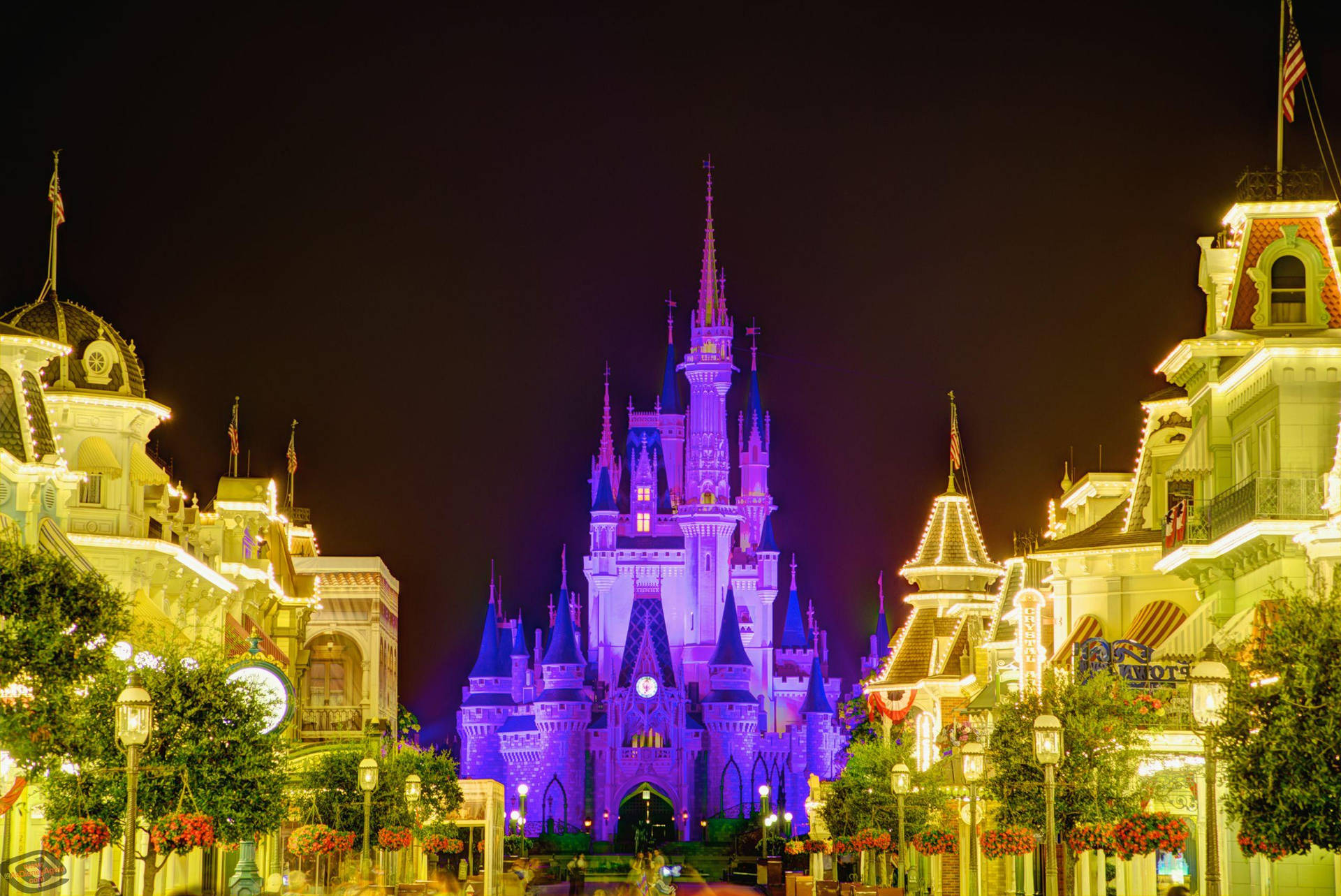 Walt Disney World At Night