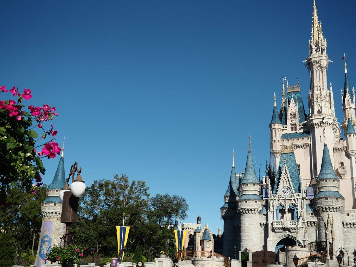 Walt Disney World Castle Facade Background