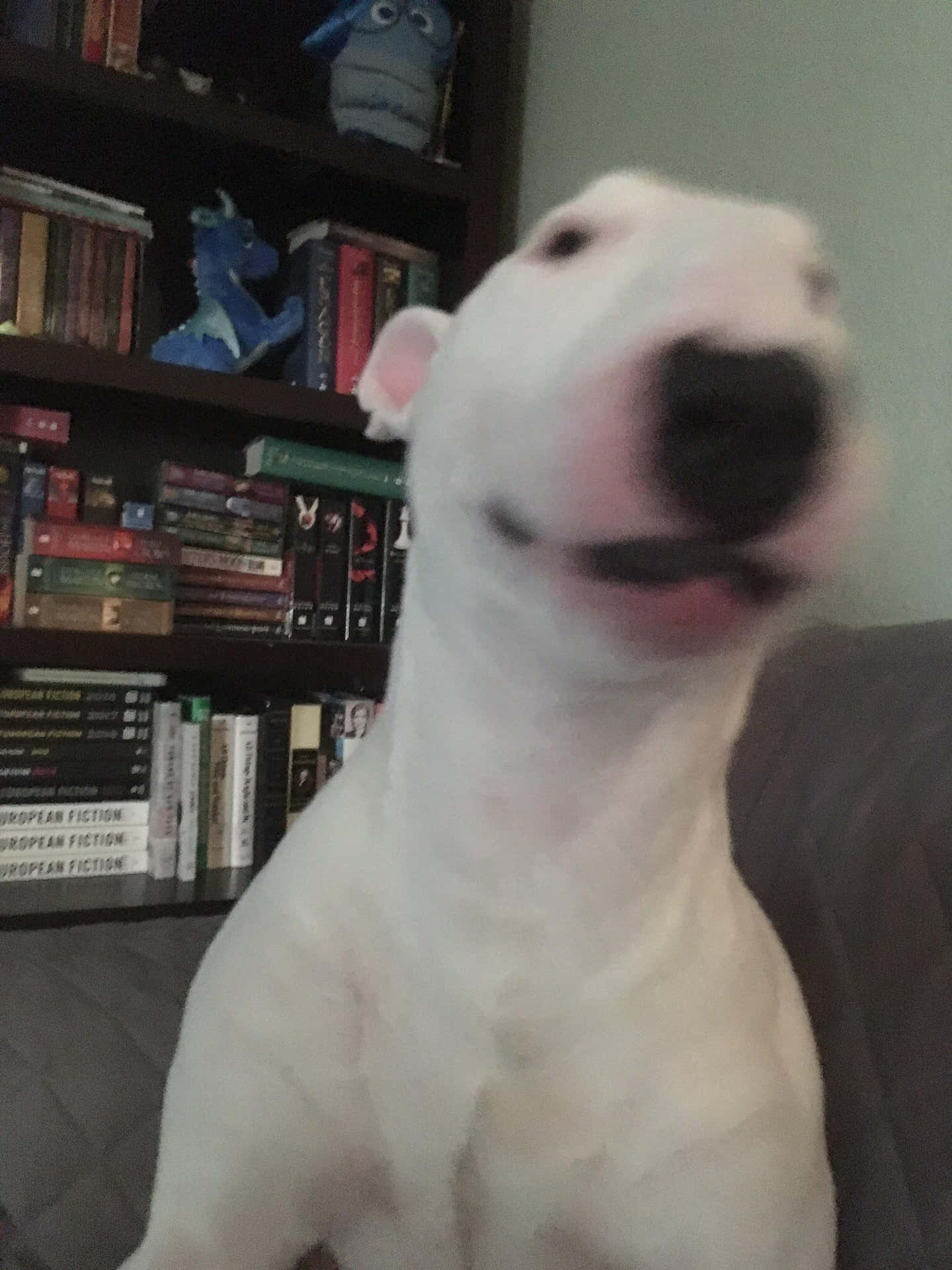 Walter The Dog, A True Friend Background