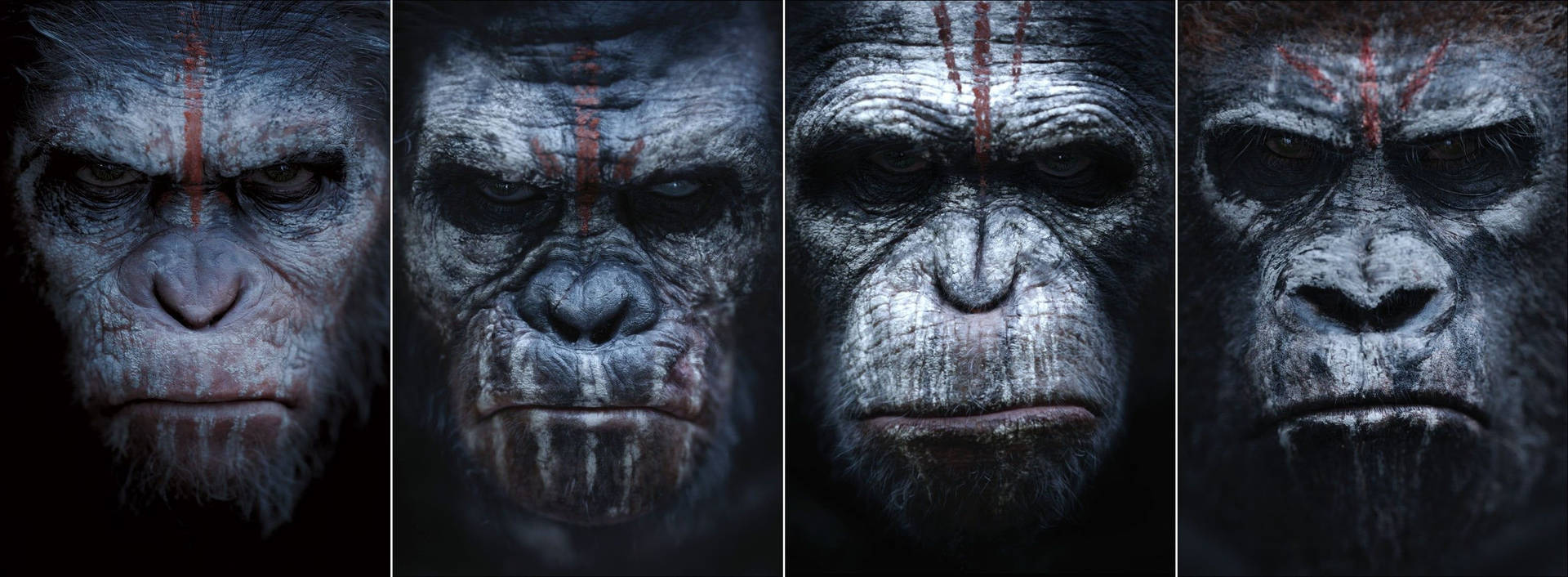 War Of The Planet Of The Apes Warriors Background