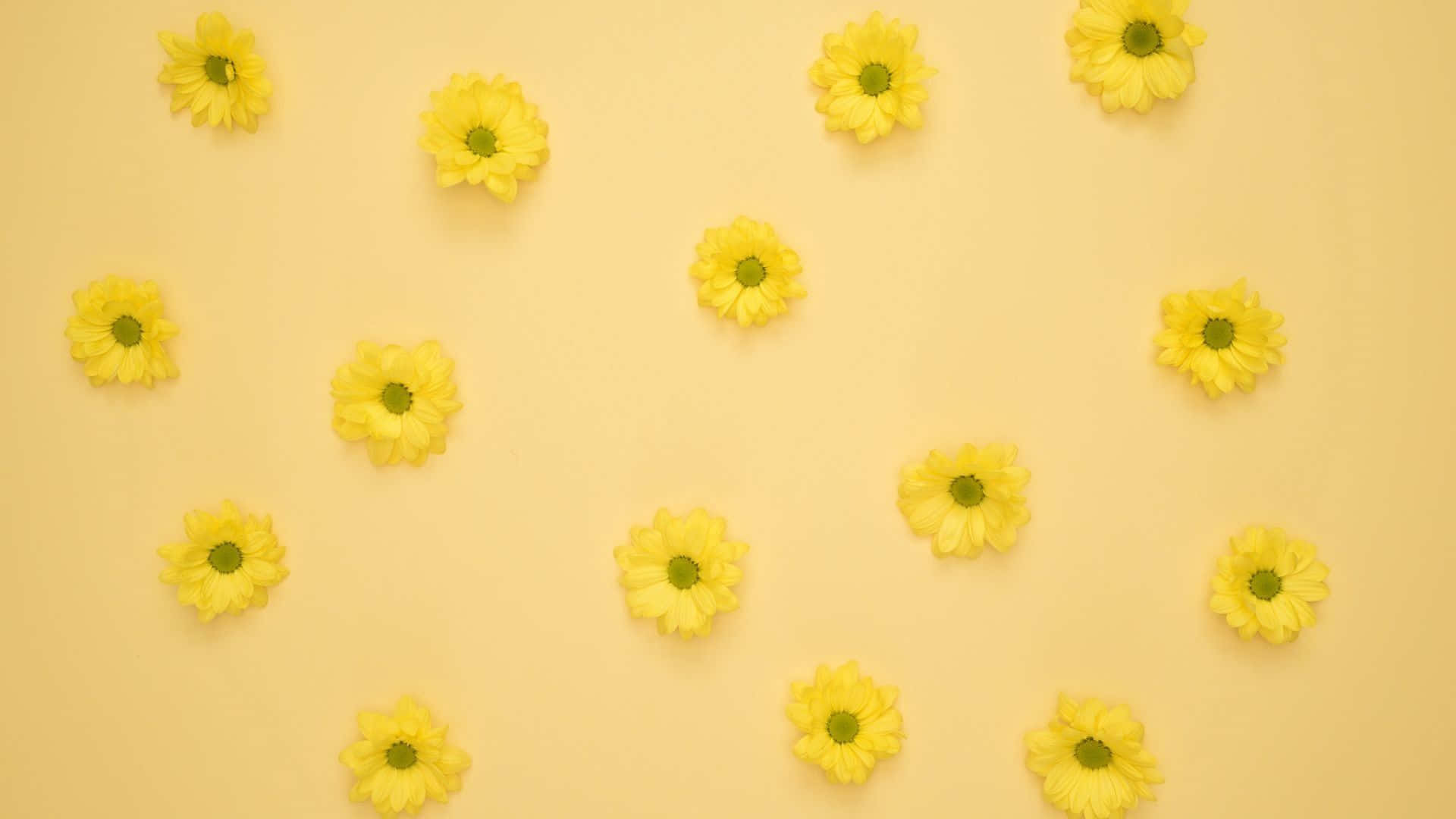 Warm And Cheerful Yellow Aesthetic Background