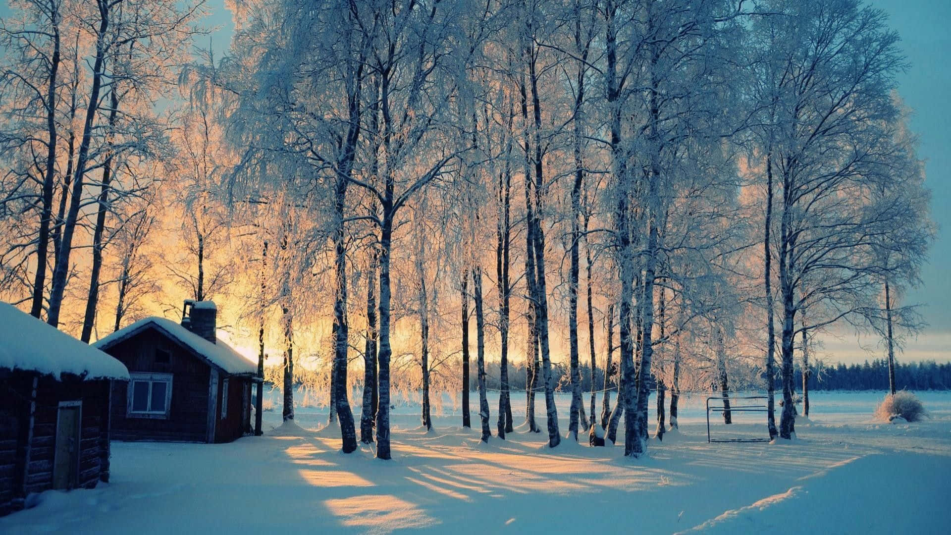 Warm And Cozy Inside With The Winterblooming Outside. Background