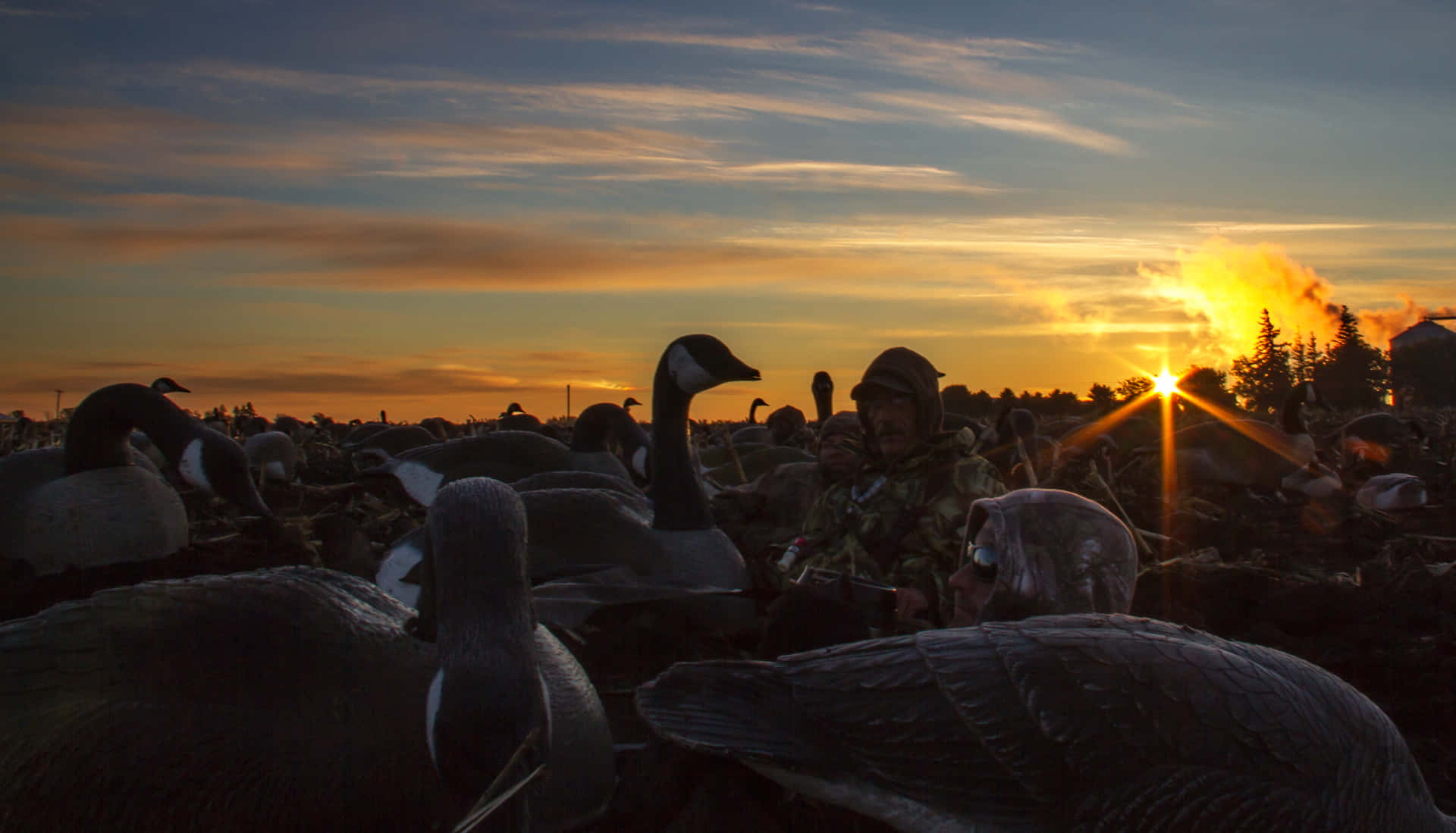 Warm Sunset Duck Hunting Desktop Background