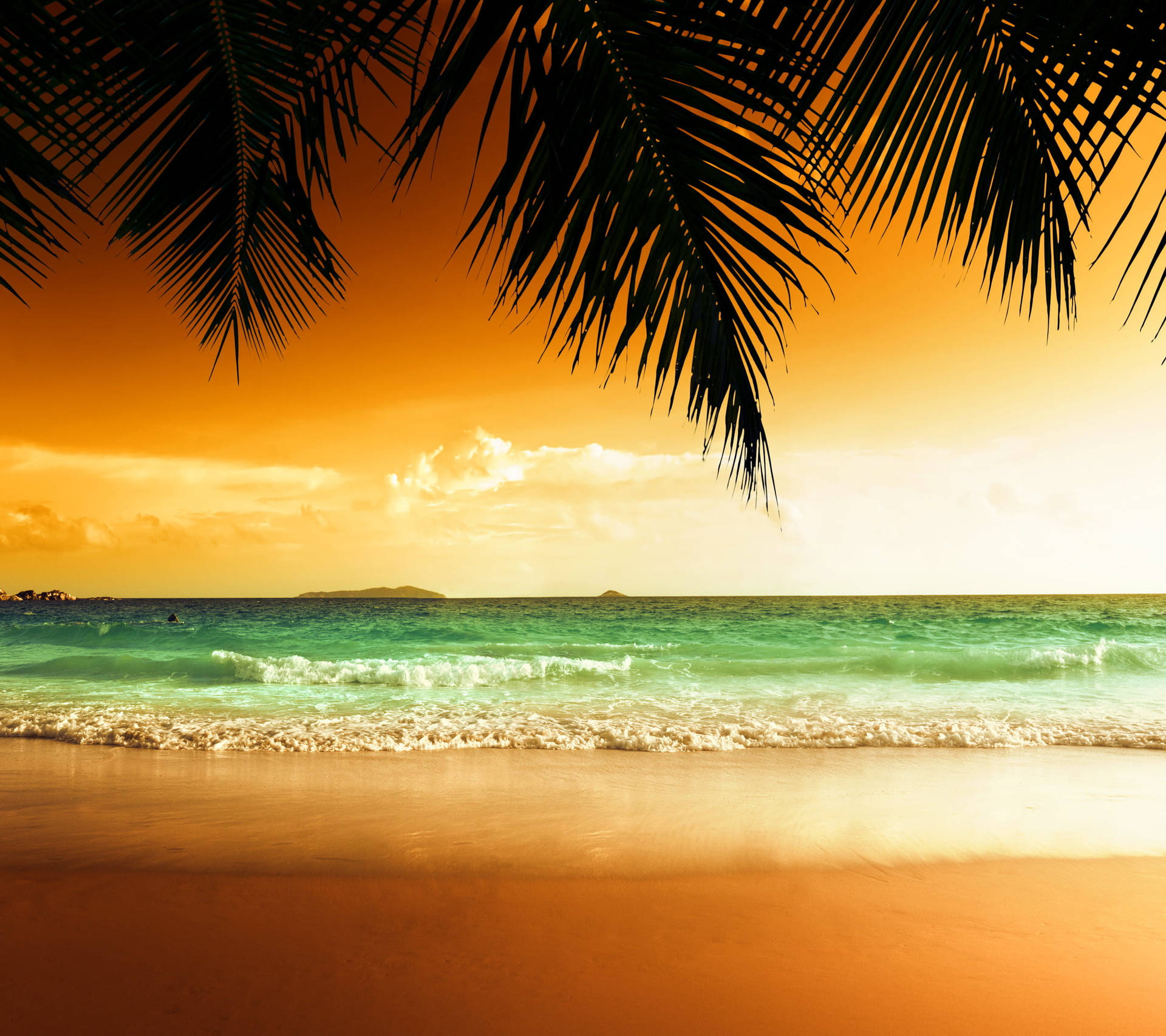 Warm-tinted Beach Tropical Desktop