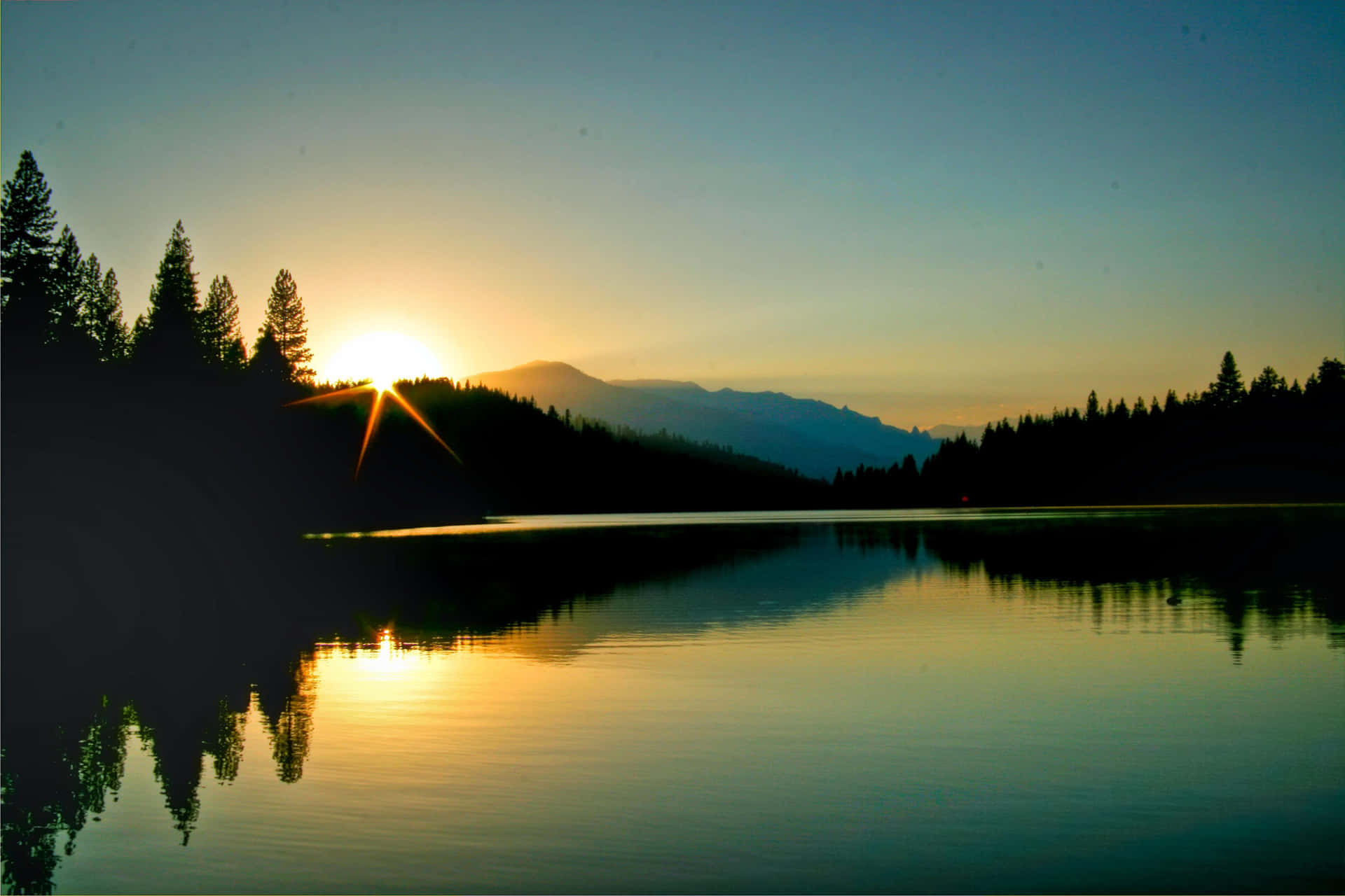 Warming Up In The Beautiful Sunshine