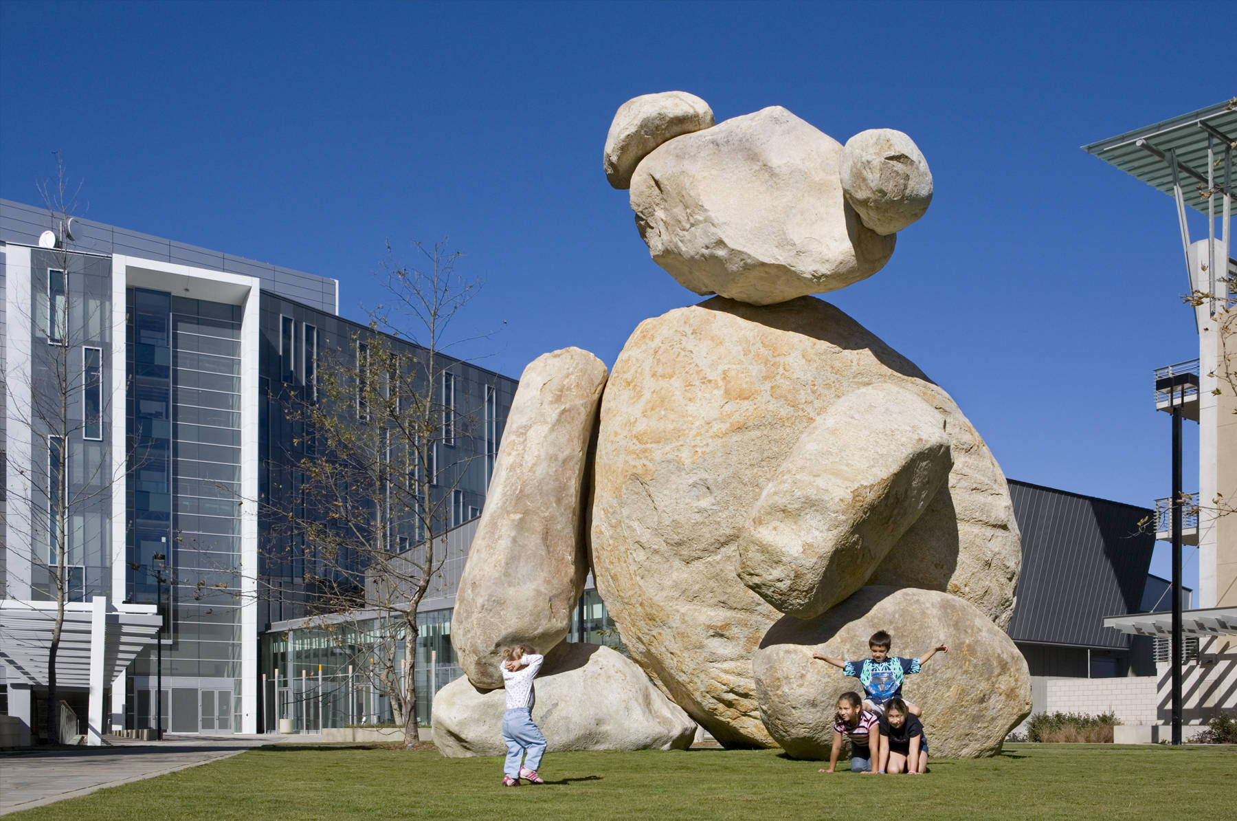 Warren Stone Bear At San Diego Background