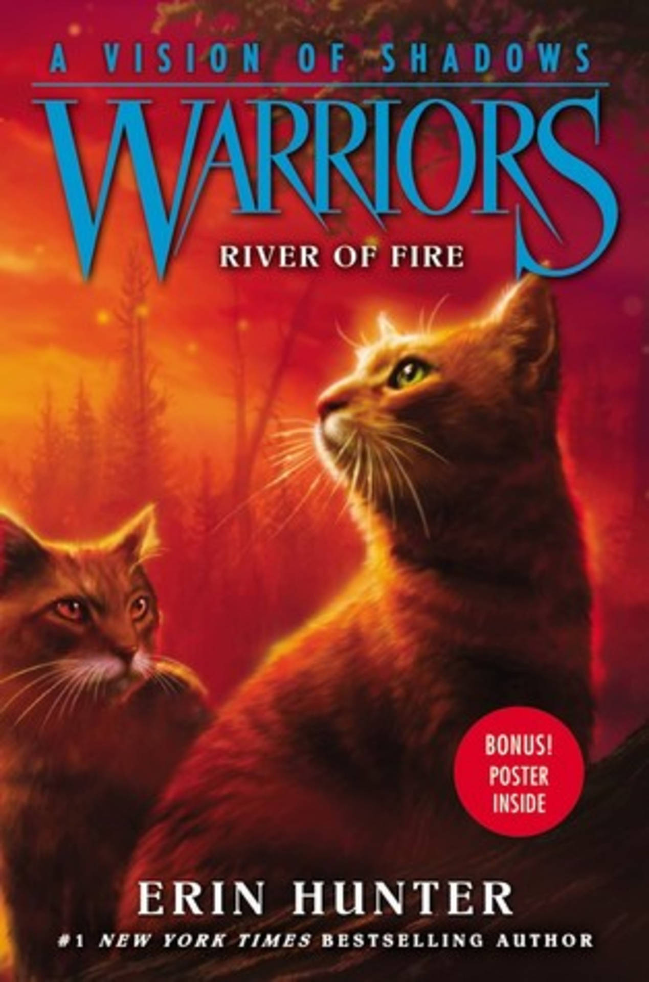 Warrior Cats A Vision Of Shadow Background