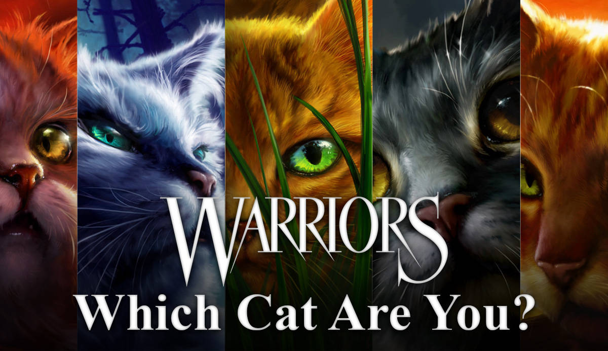 Warrior Cats Quiz Background