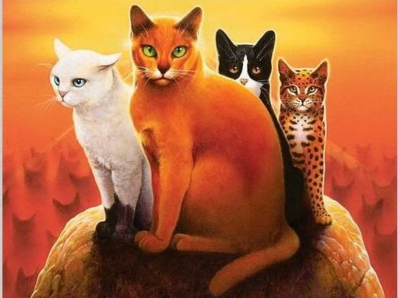 Warrior Cats Sitting On A Rock Background