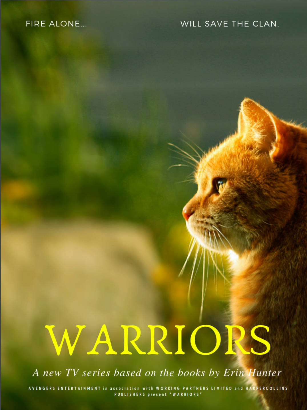 Warrior Cats Television Series Background