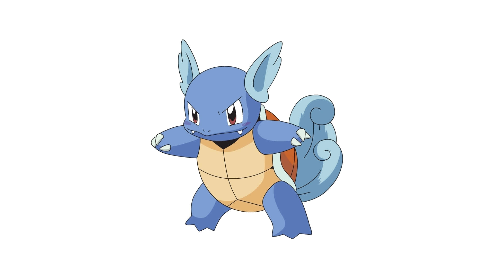 Wartortle In Battle Mode Background