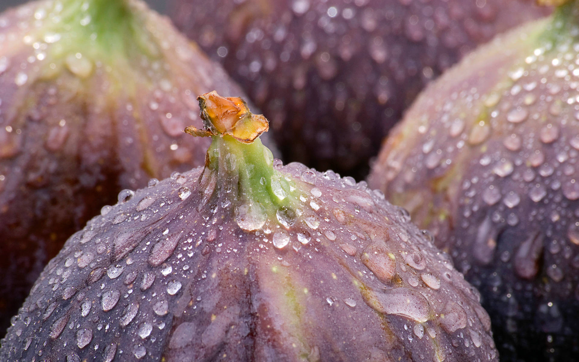 Washed Figs Macro Photograph