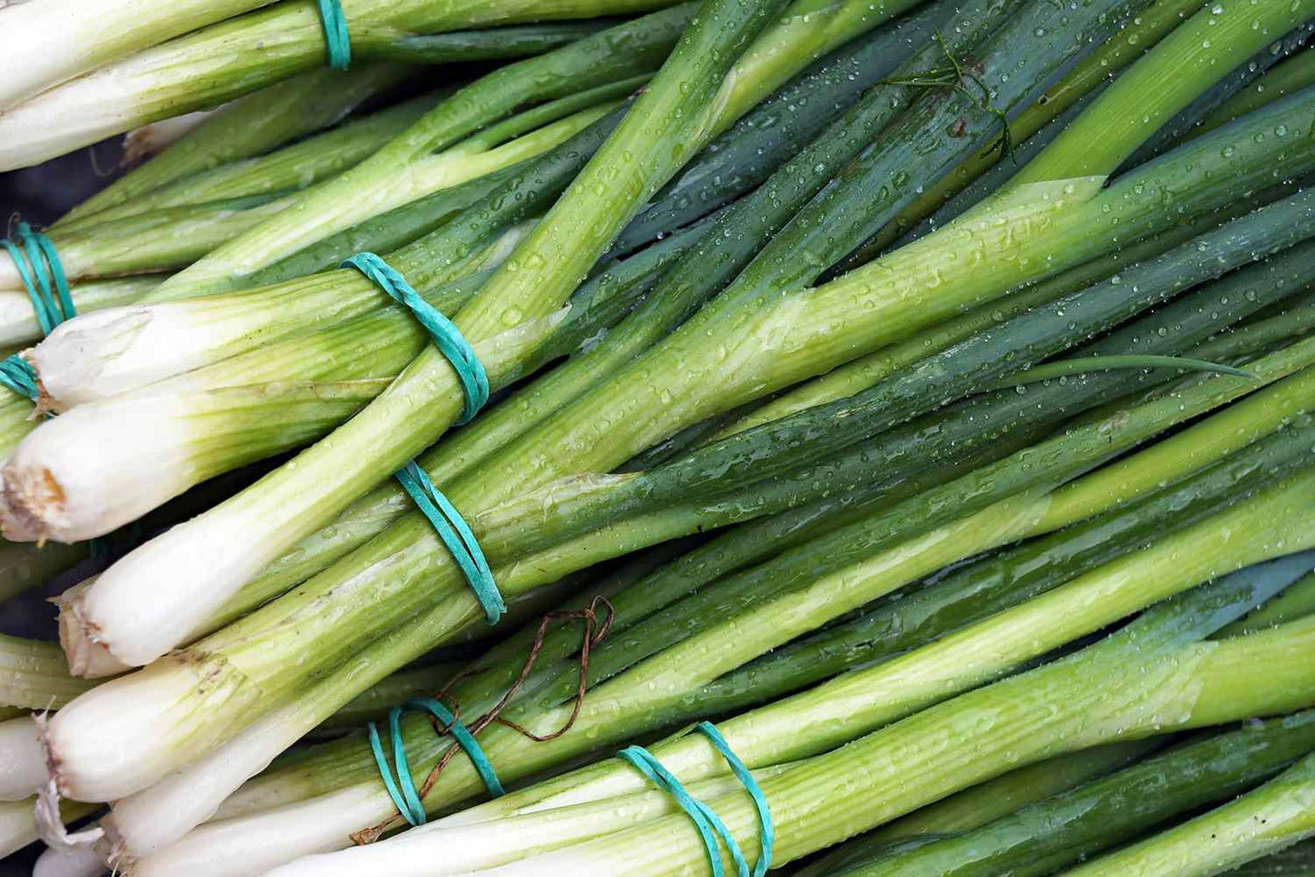 Washed Green Onions With Rubber Bands Background