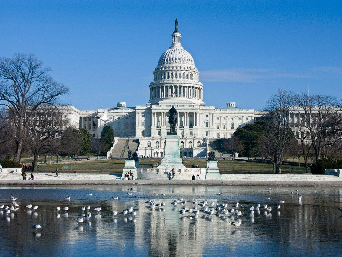 Washington, Dc Statues Background