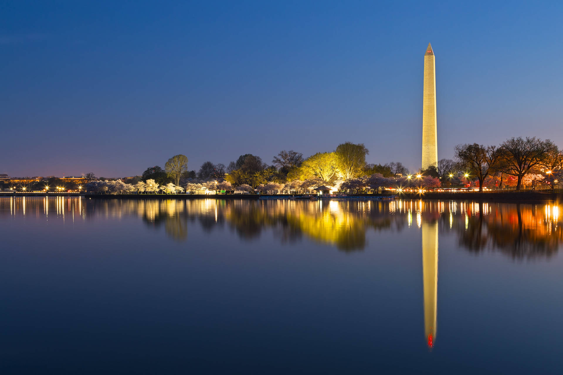 Washington Monument Dawn Reflection Background