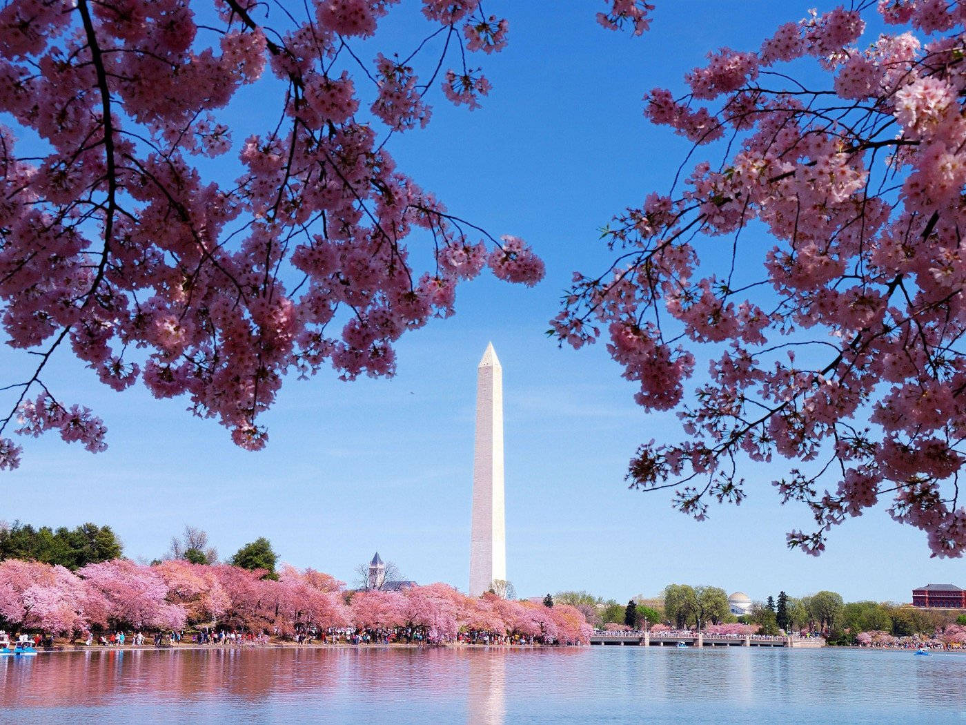 Washington Monument Washington, Dc Background