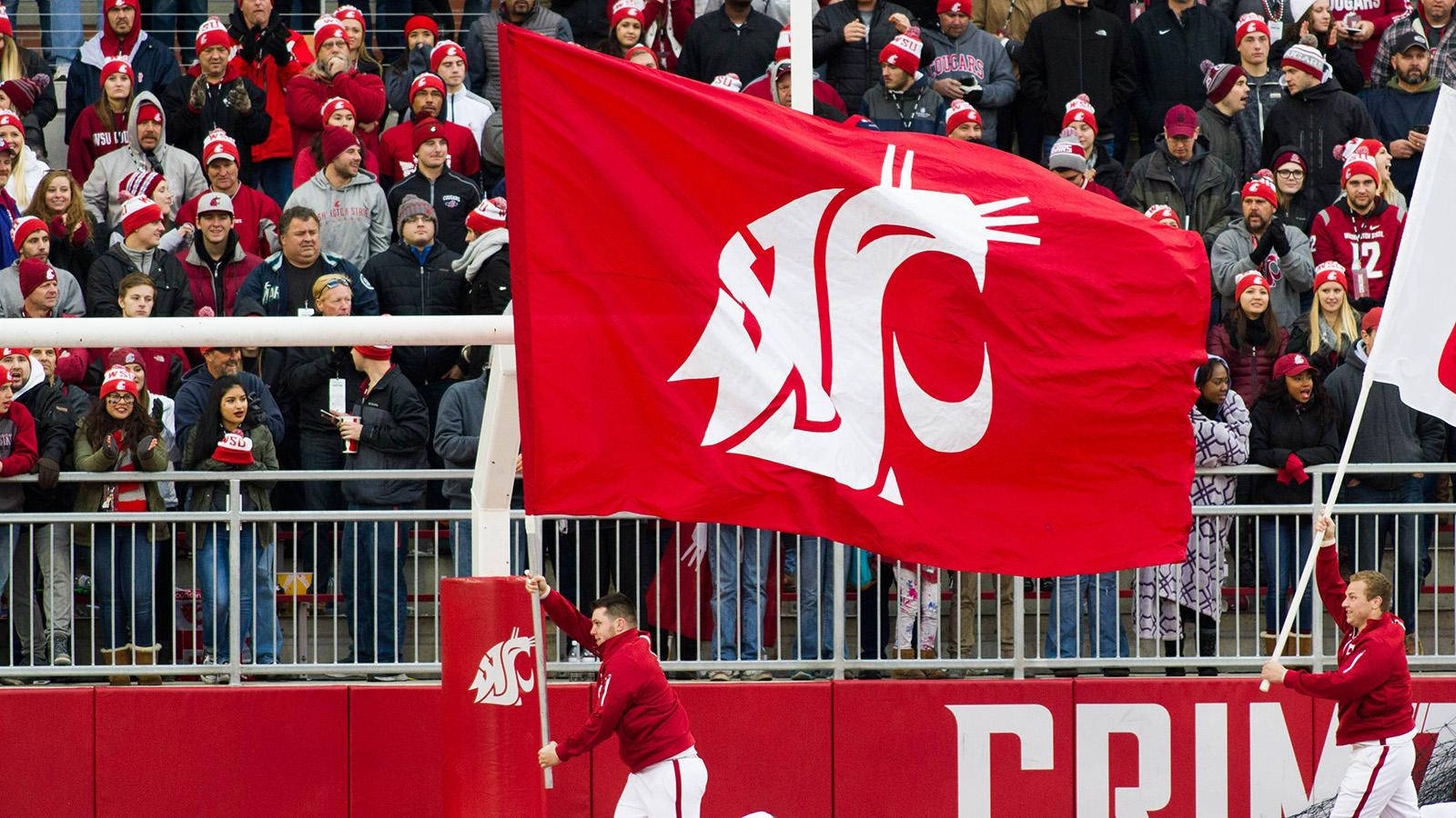 Washington State University Cougars Flag