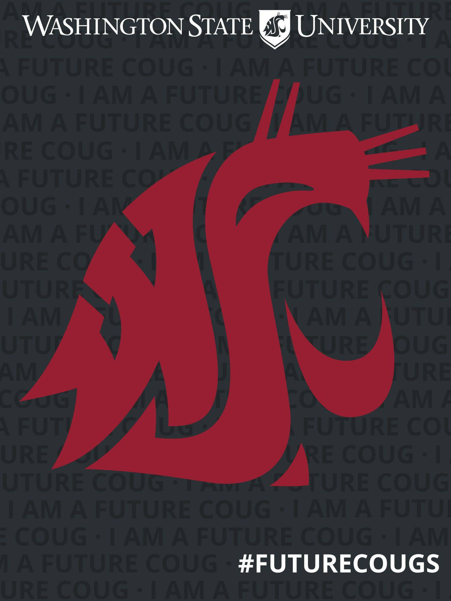 Washington State University Red Cougars Portrait