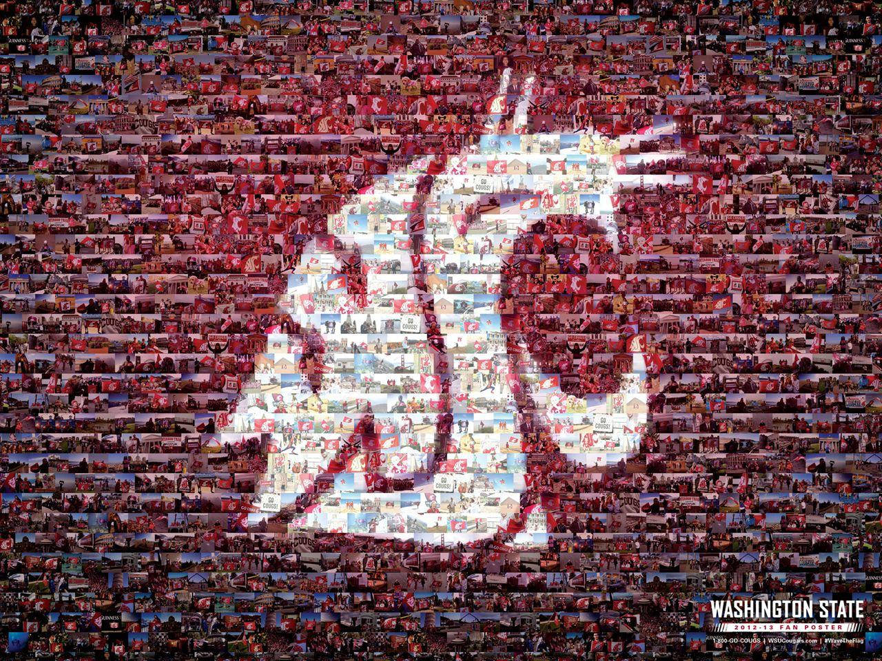 Washington State University White Cougars Logo Background