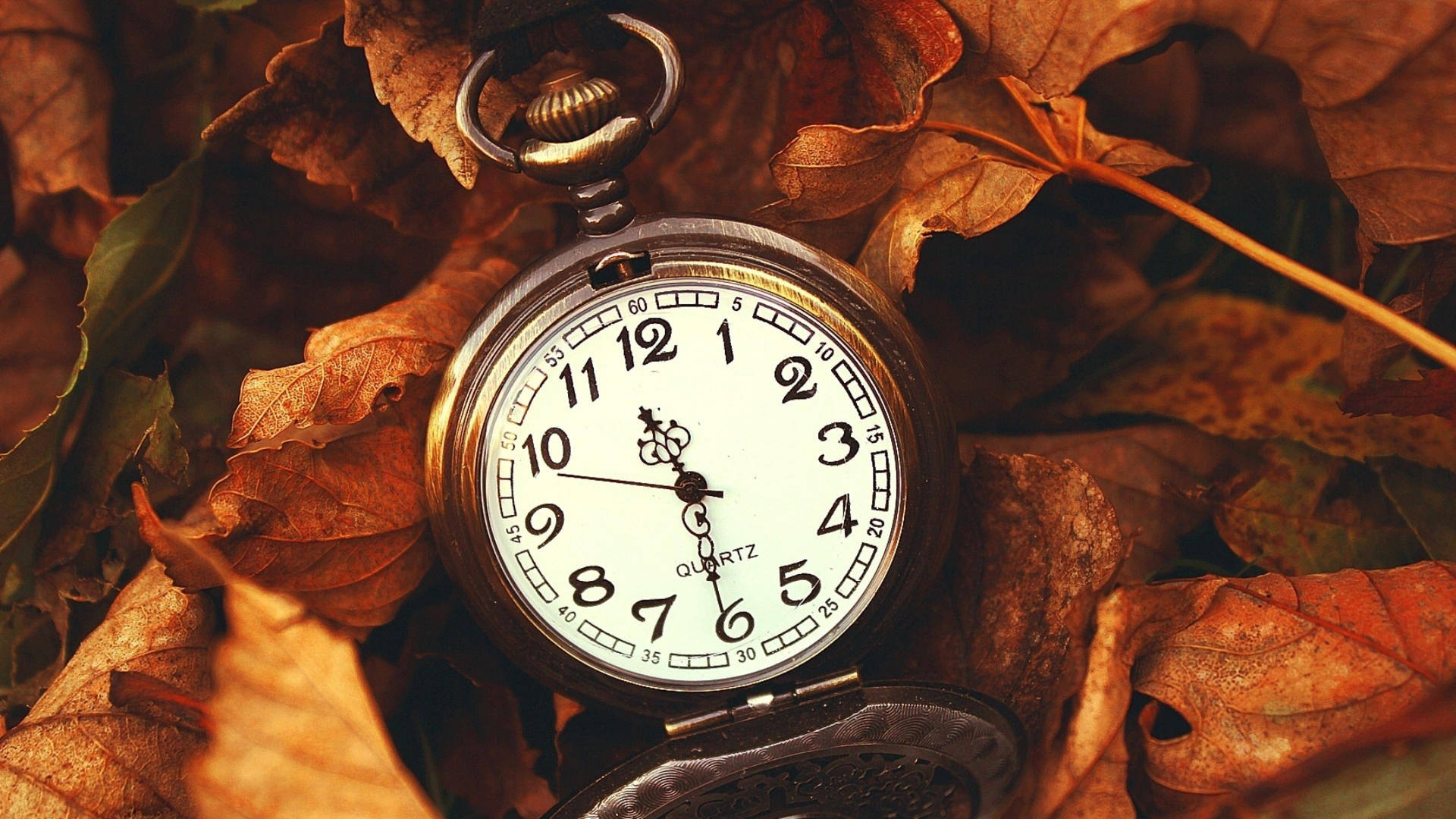 Watch On Dried Leaves Tiempo Background Background