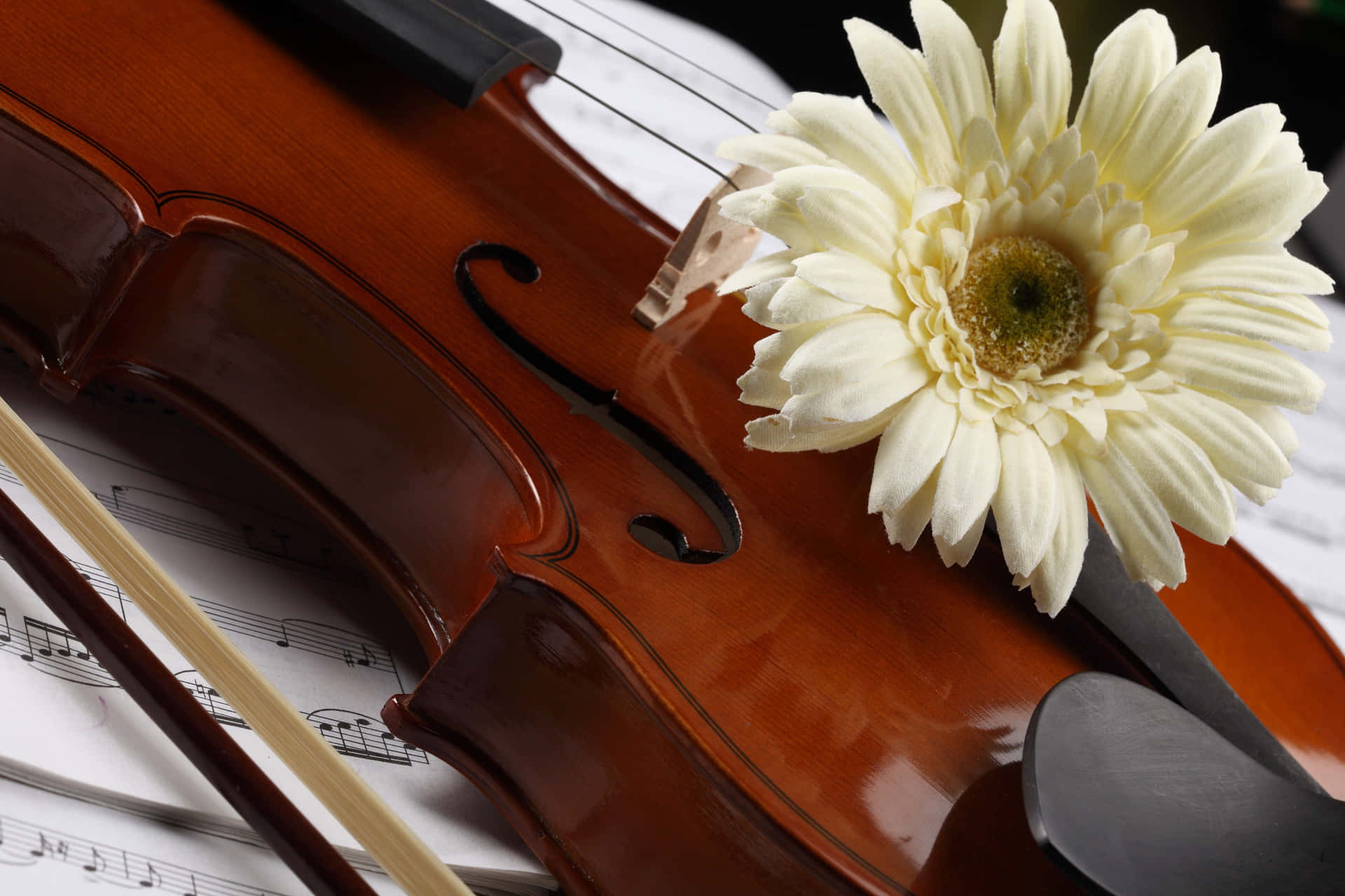 Watch The Joyful Strum Of A Violin Background