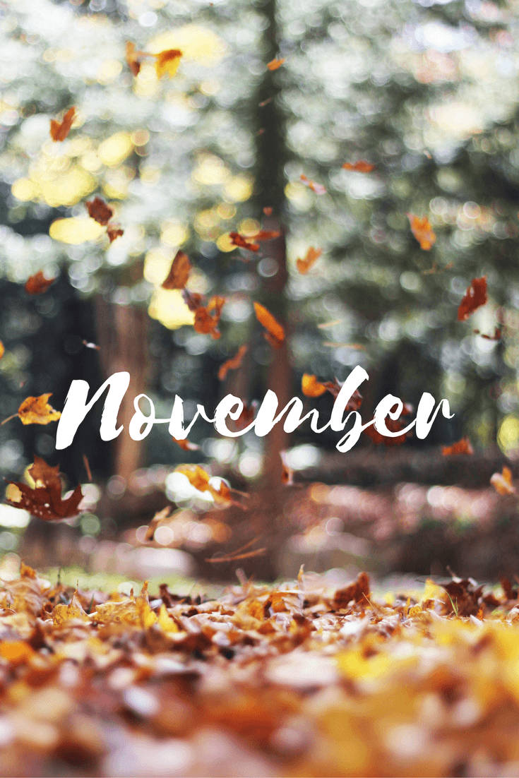 Watch The Leaves Change Colors With The Coming Of November Background
