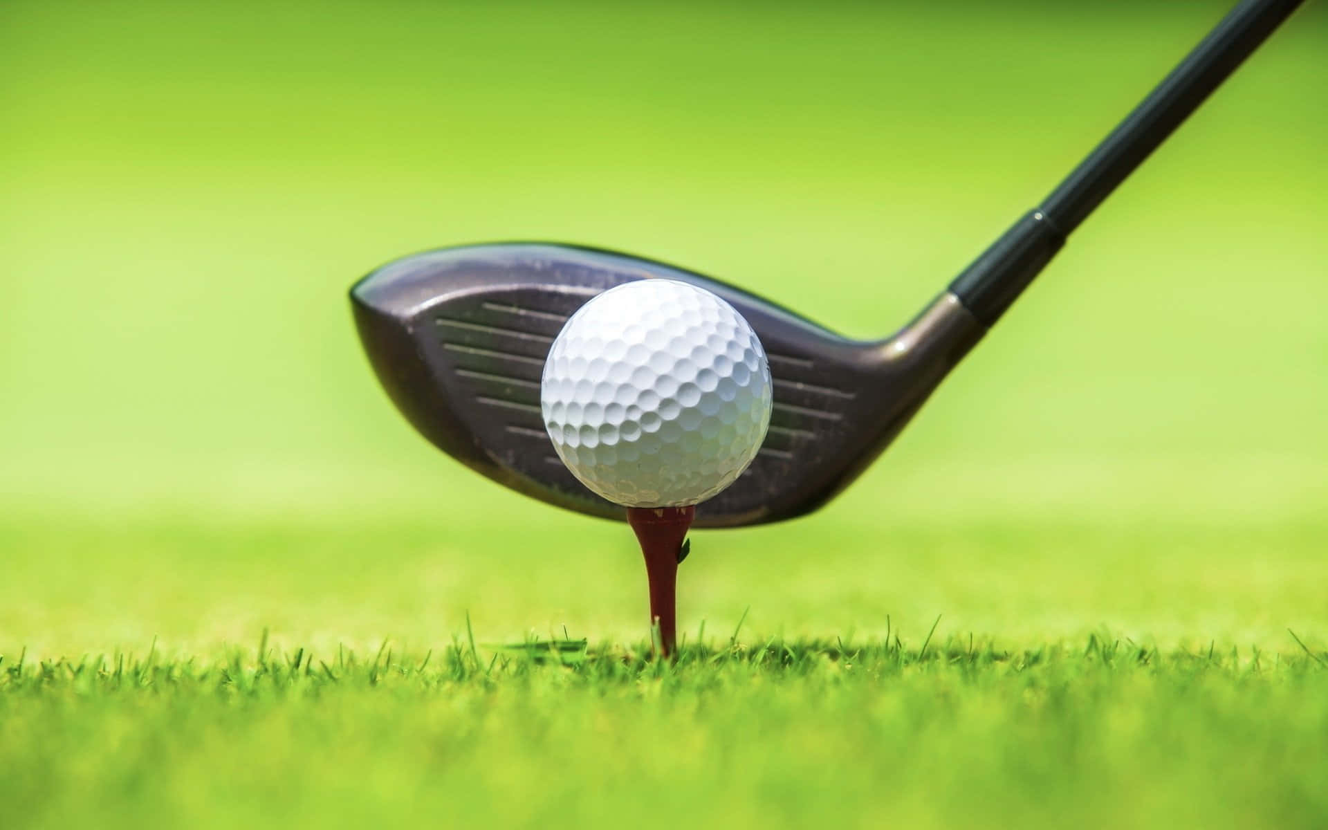 Watch The Perfect Swing In 3d Golf Desktop Background