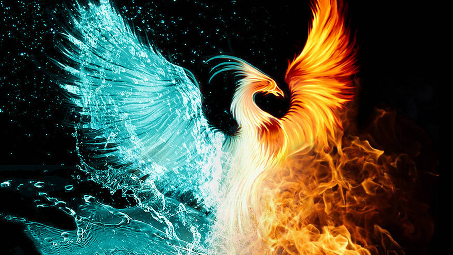 Water And Fire Wings Clash