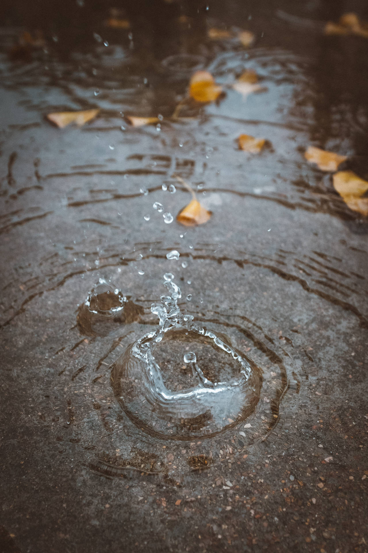 Water Droplet And Puddle Background