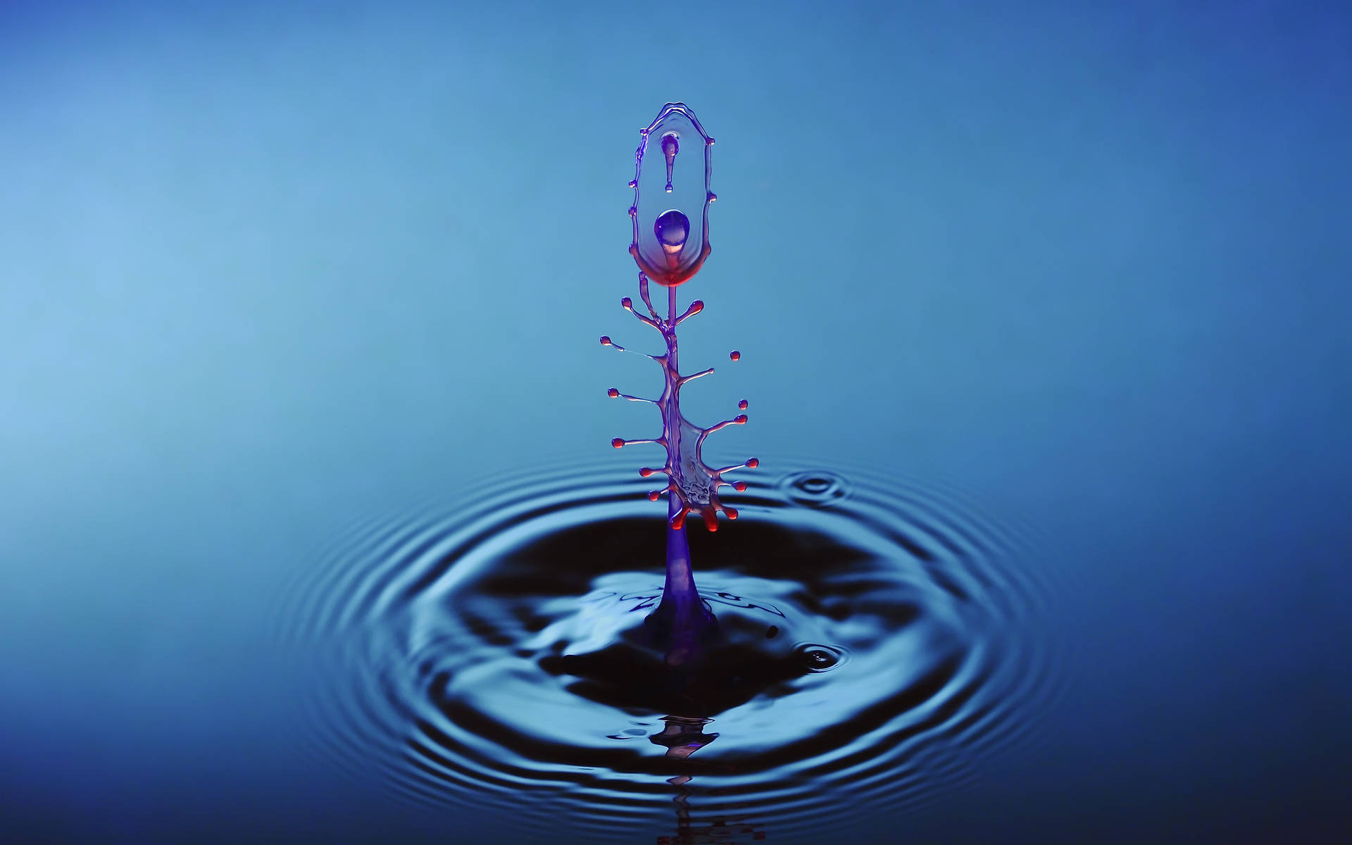 Water Droplet Live 3d